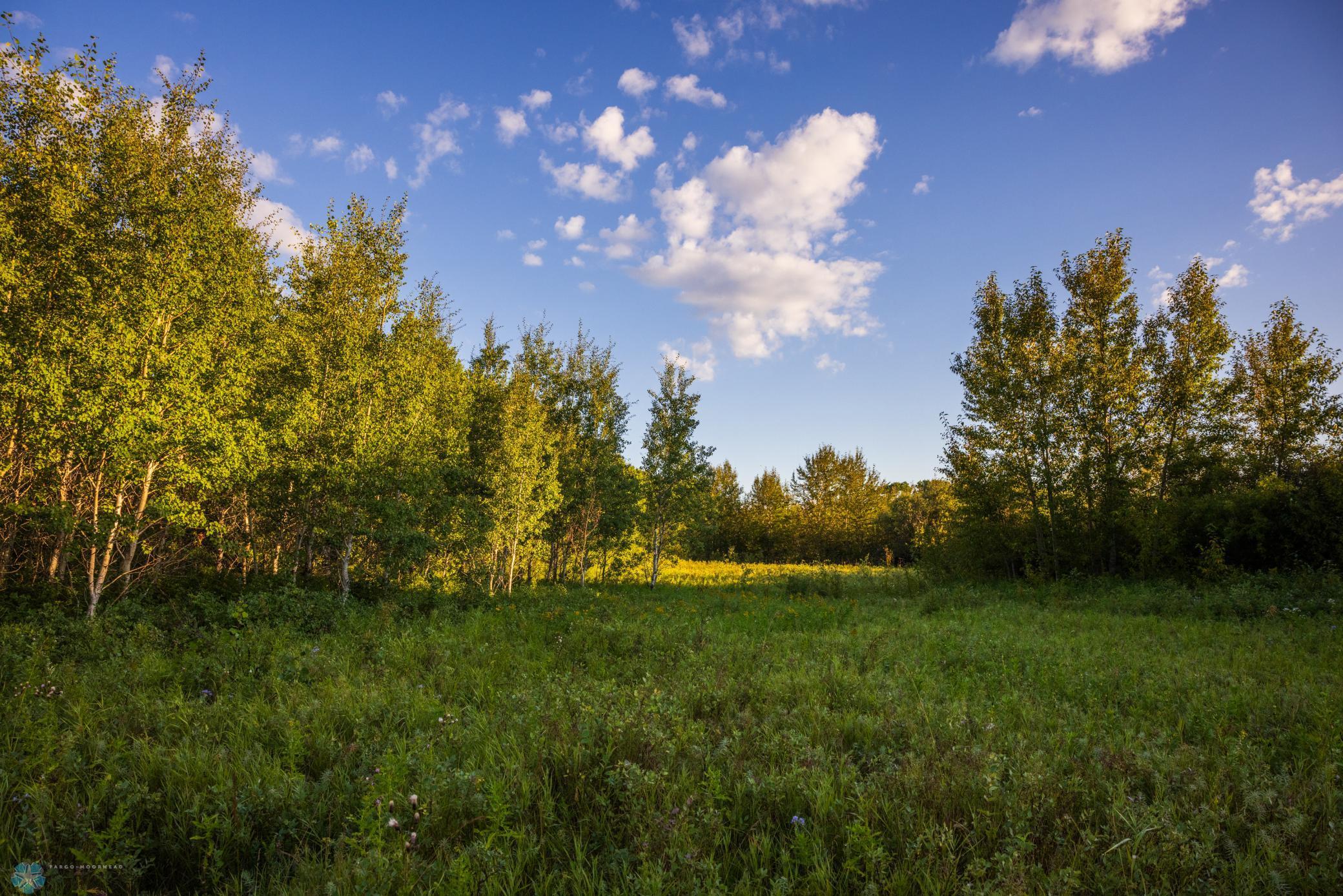 main property photo 85