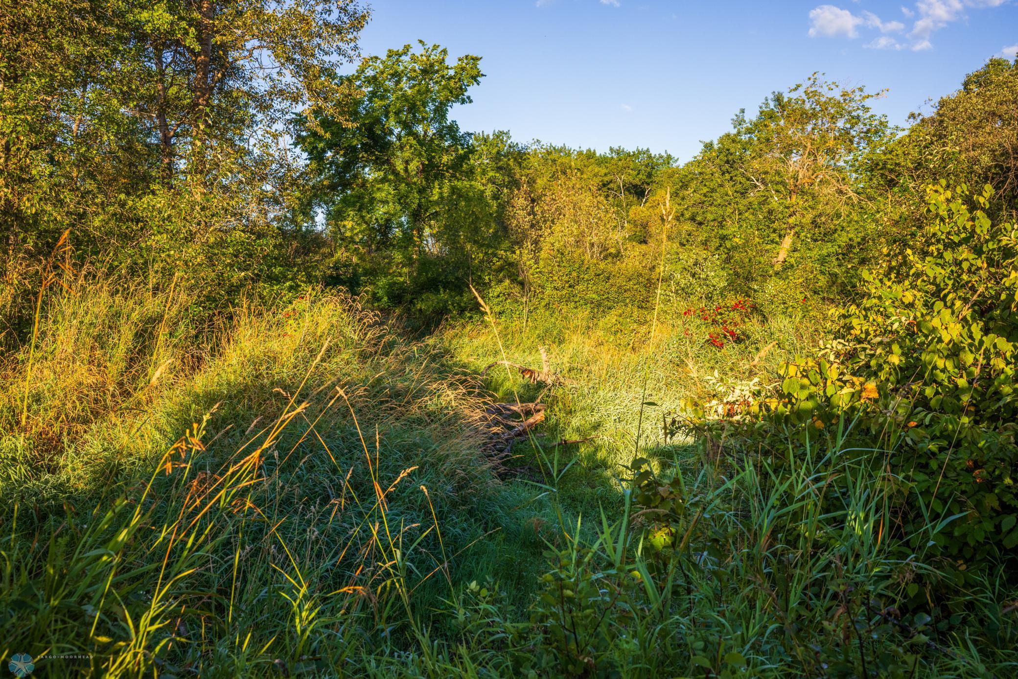 main property photo 86