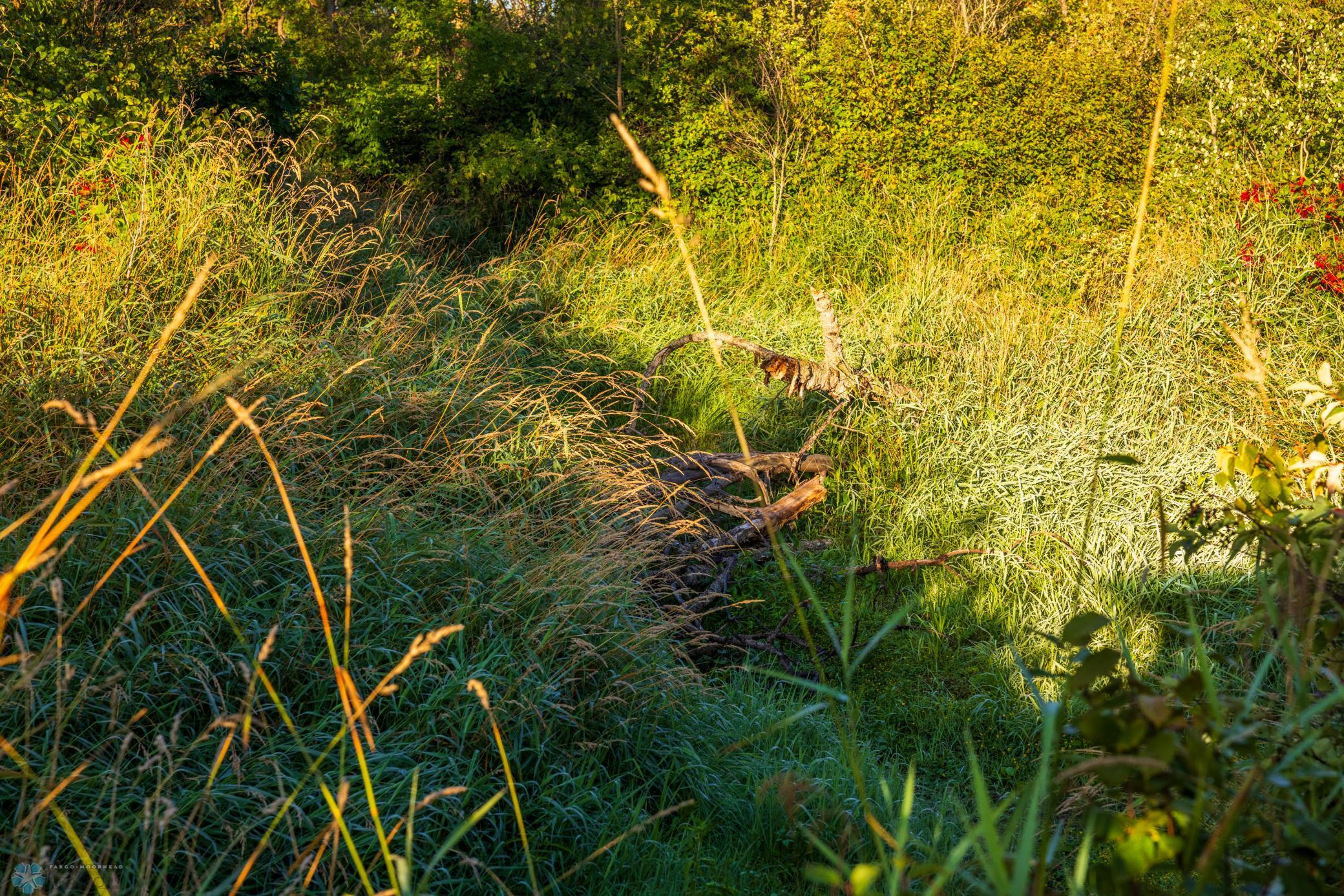 main property photo 87
