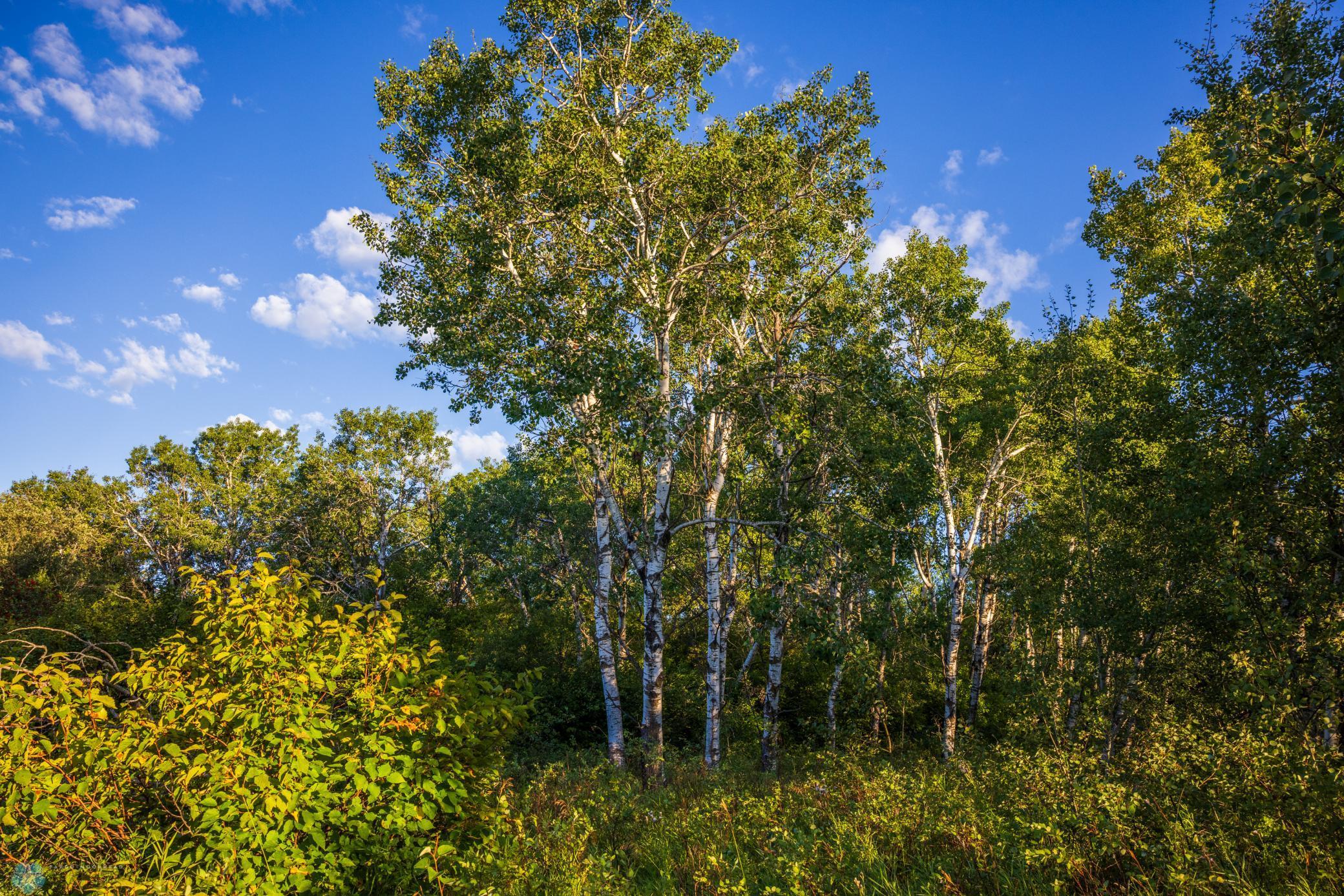 main property photo 88