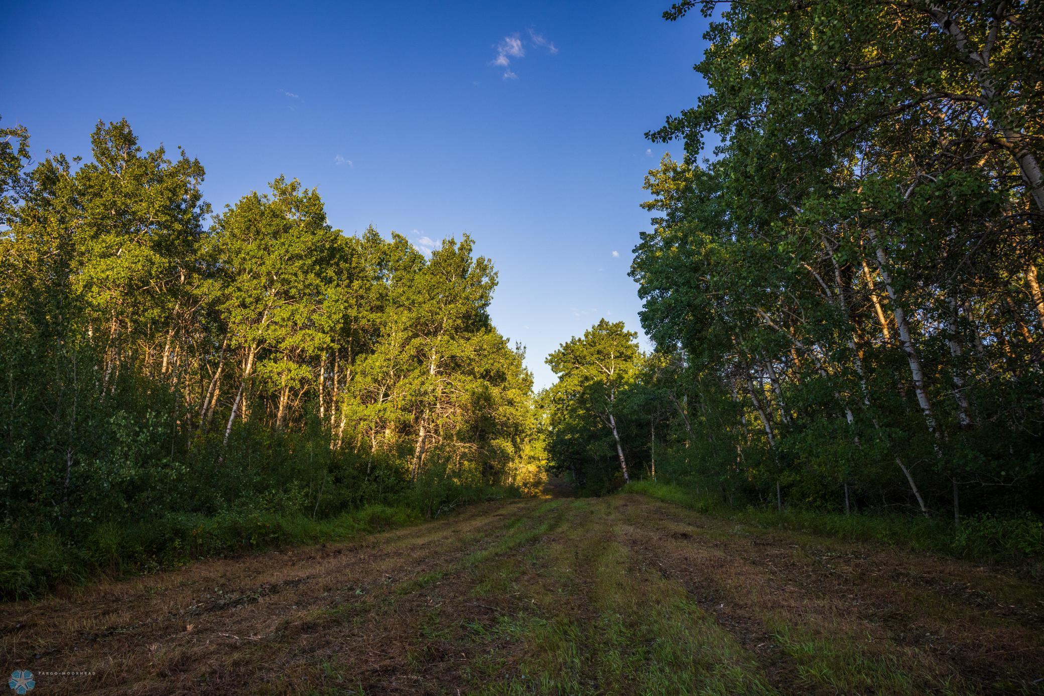 main property photo 94
