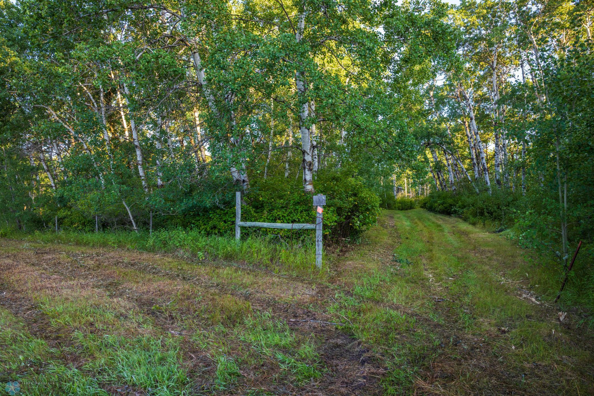 main property photo 95