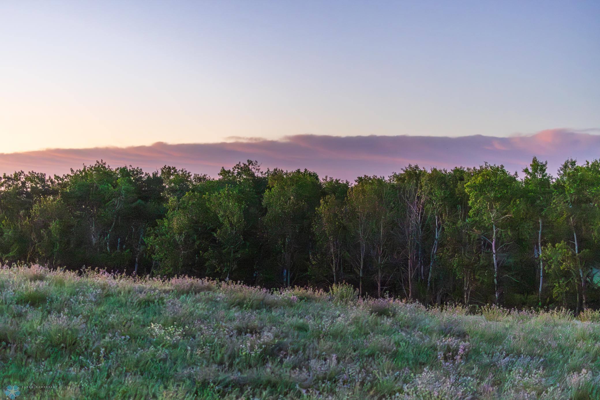 main property photo 98