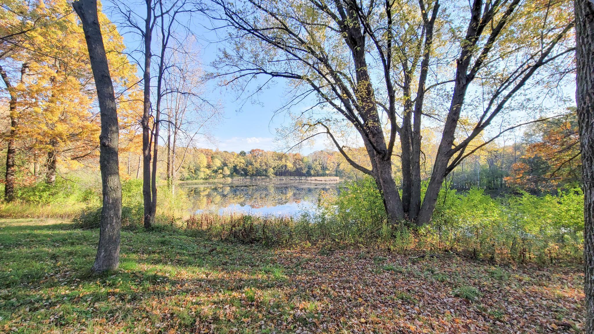 main property photo 78