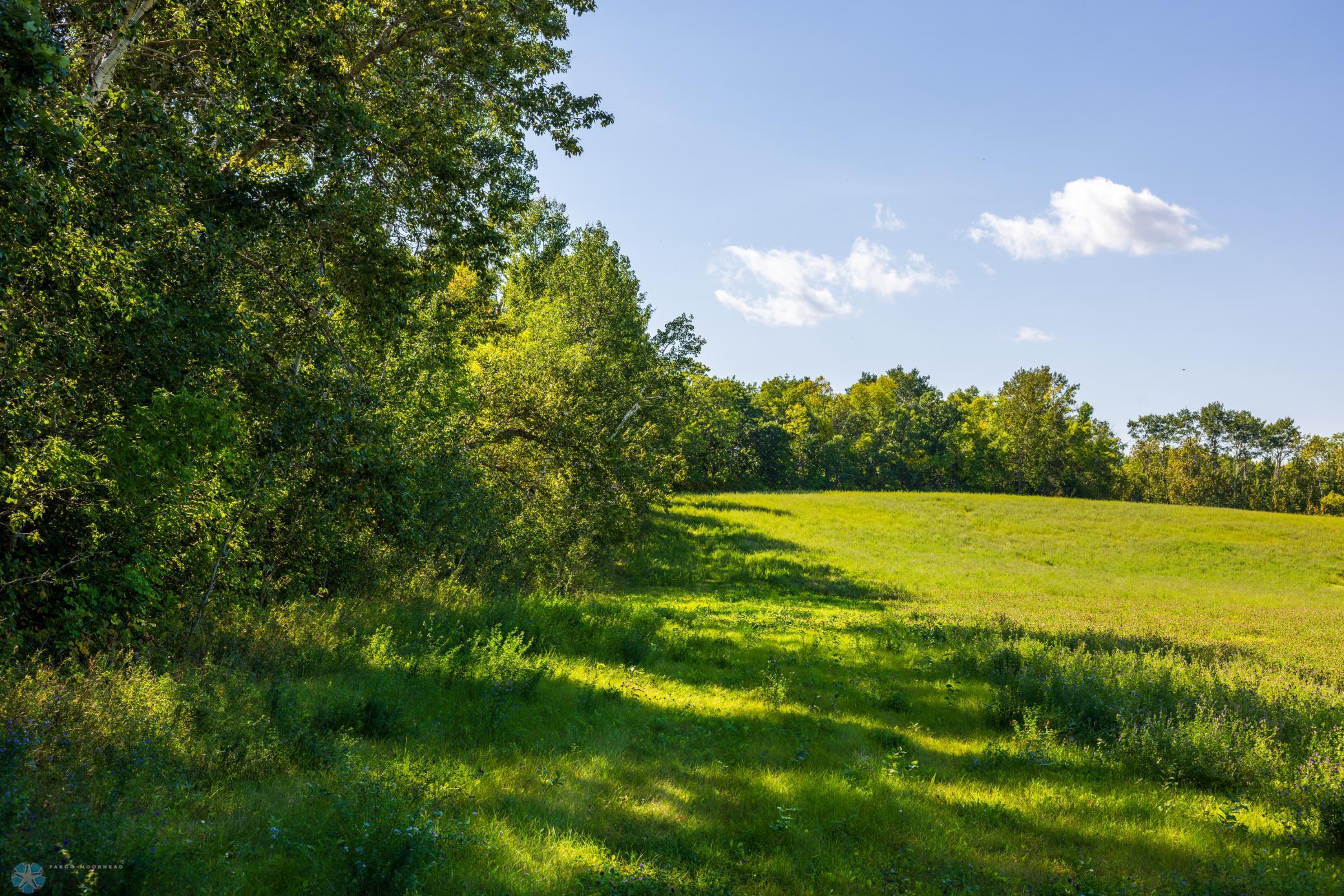 main property photo 48