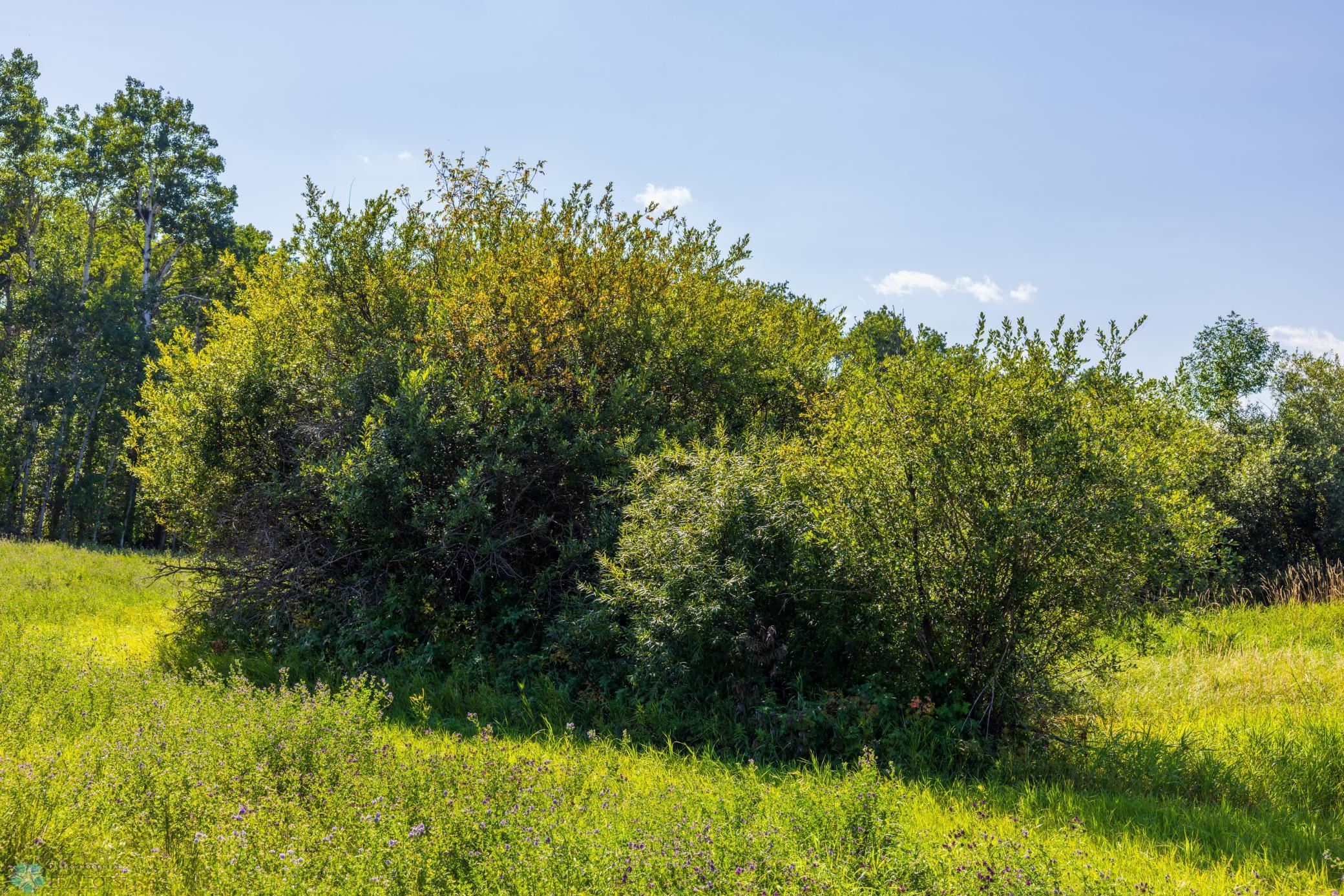 main property photo 55