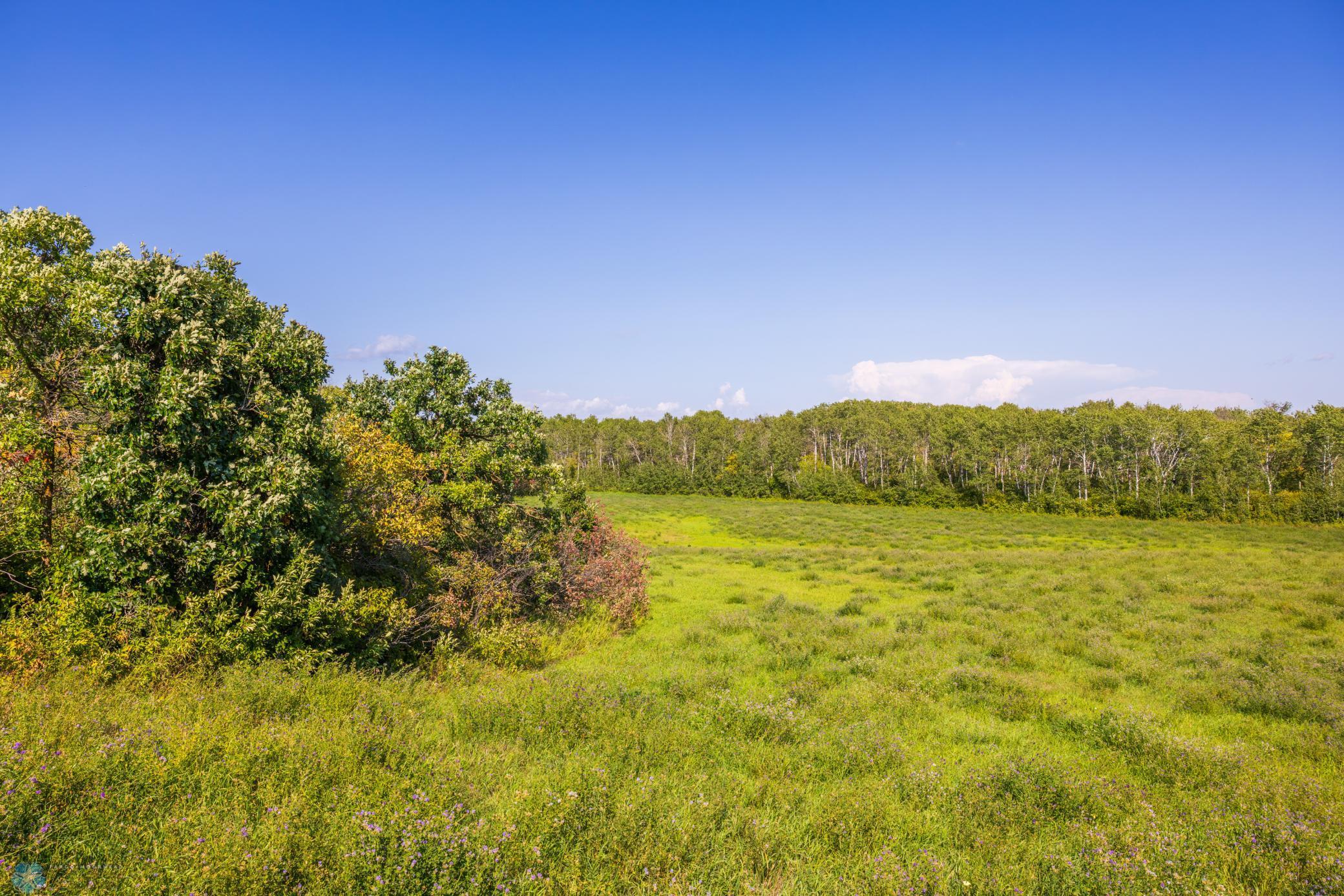 main property photo 59