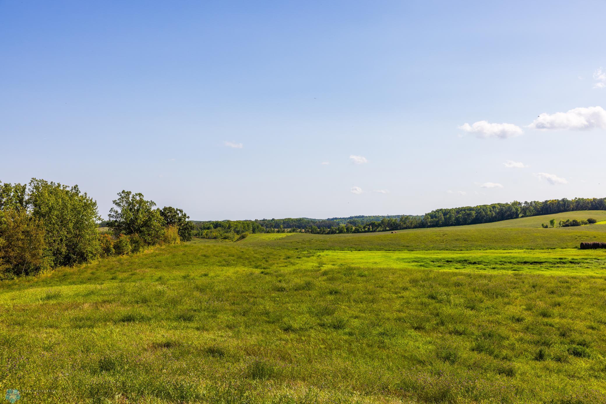 main property photo 67