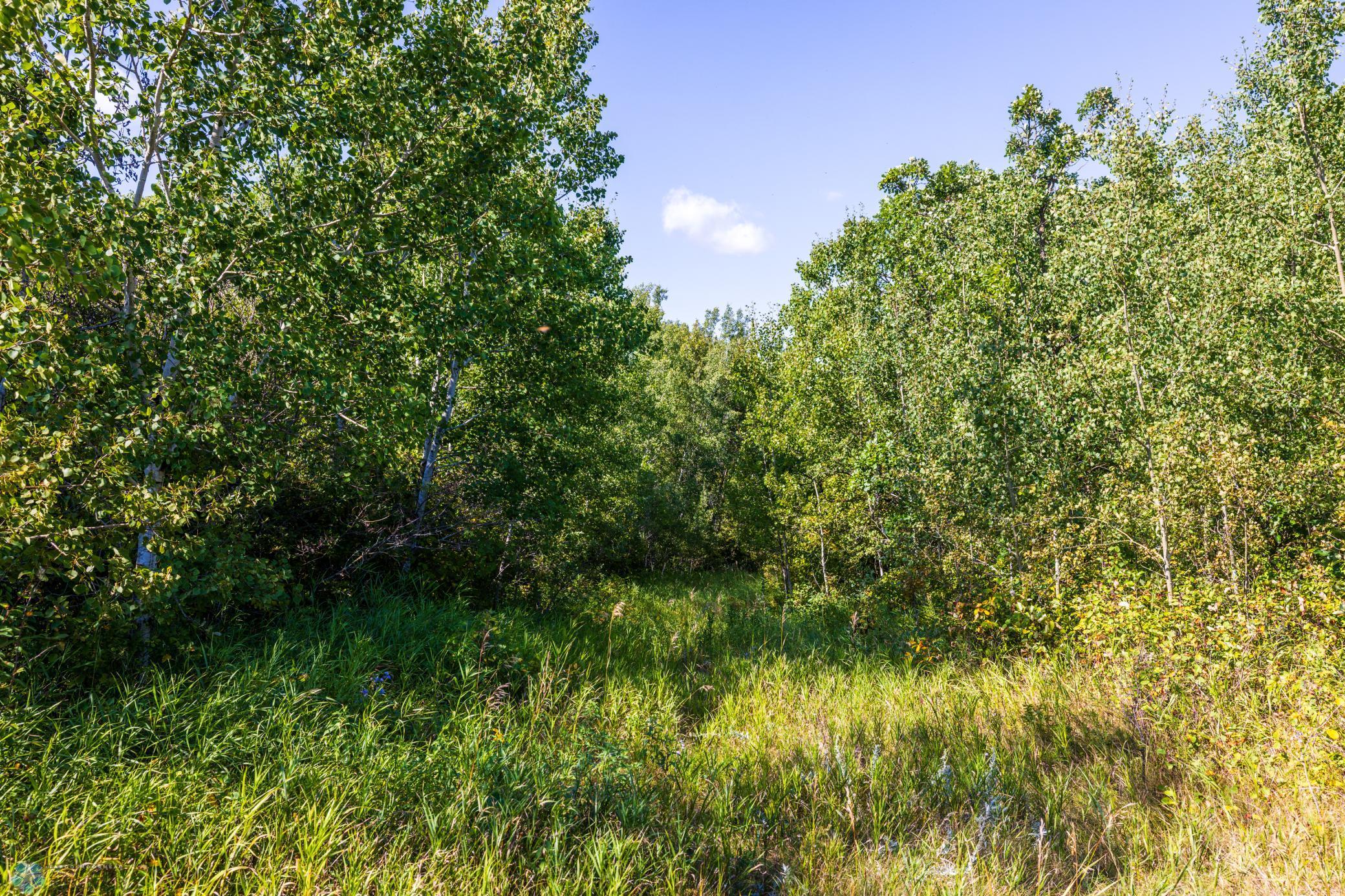 main property photo 68