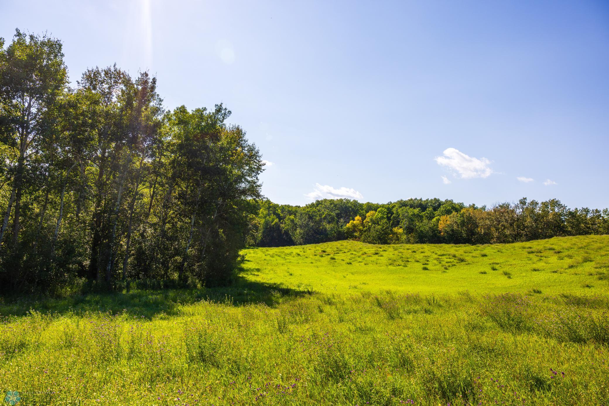 main property photo 71