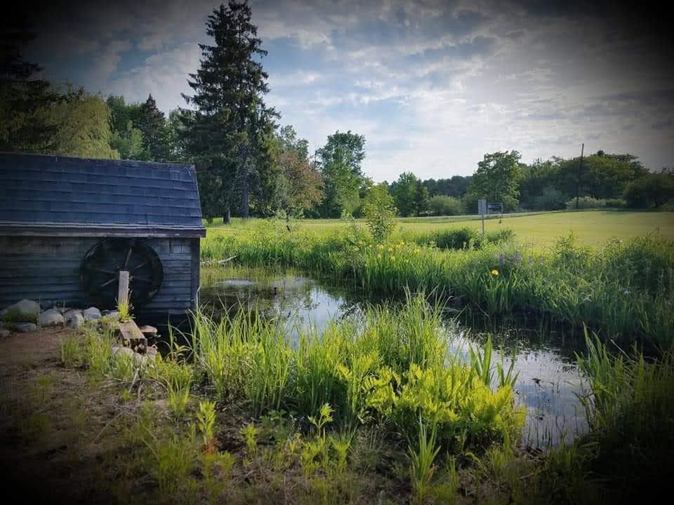 main property photo 66