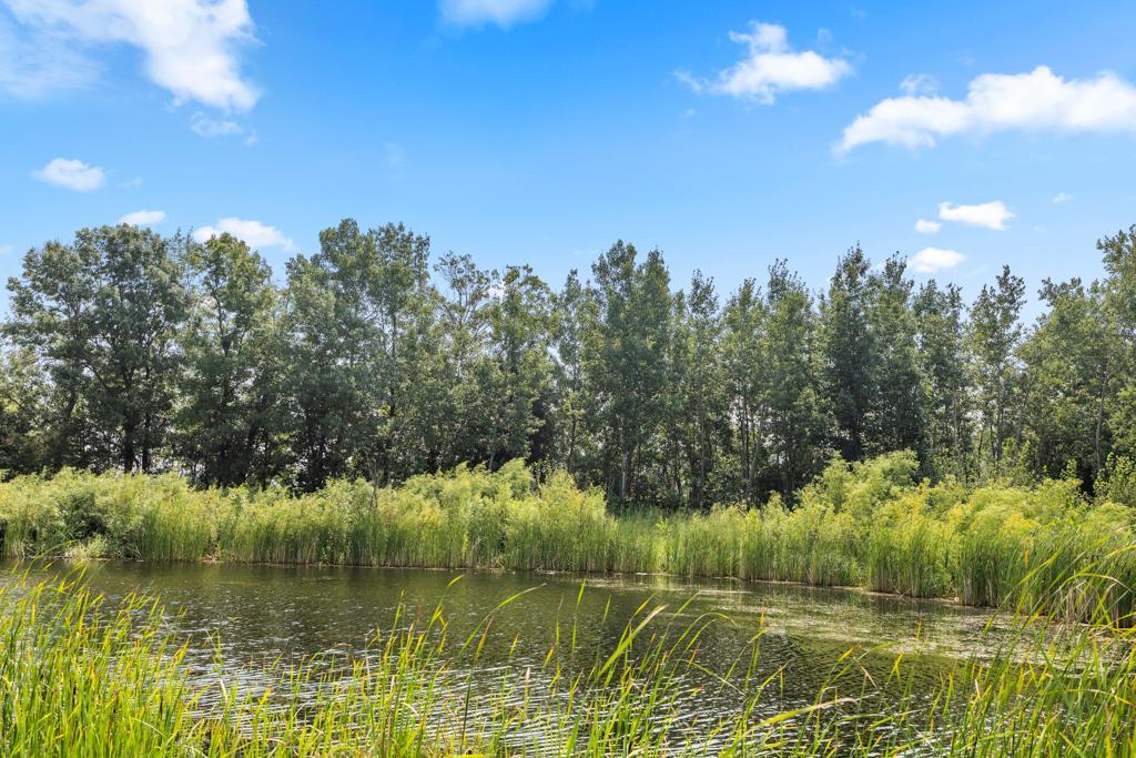 main property photo 66