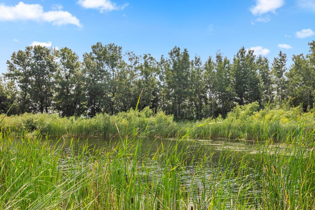 main property photo 67