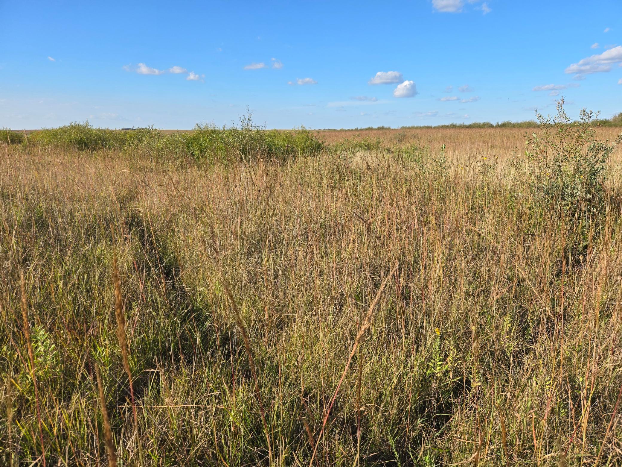 main property photo 53
