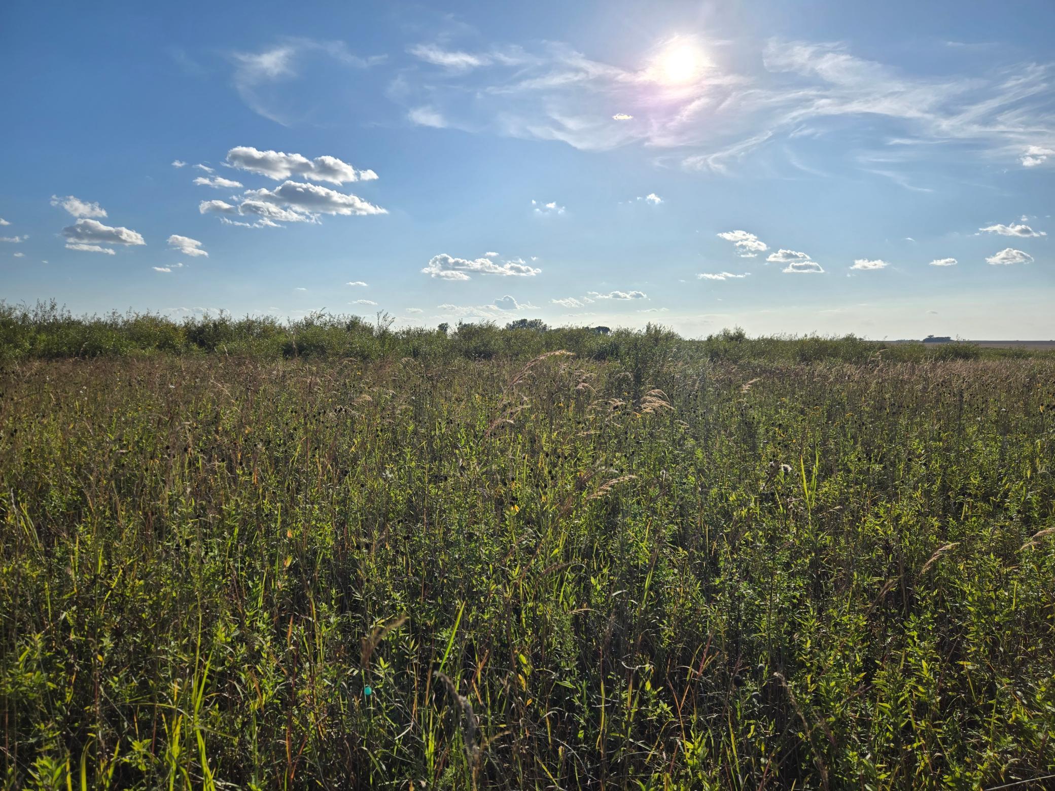 main property photo 56
