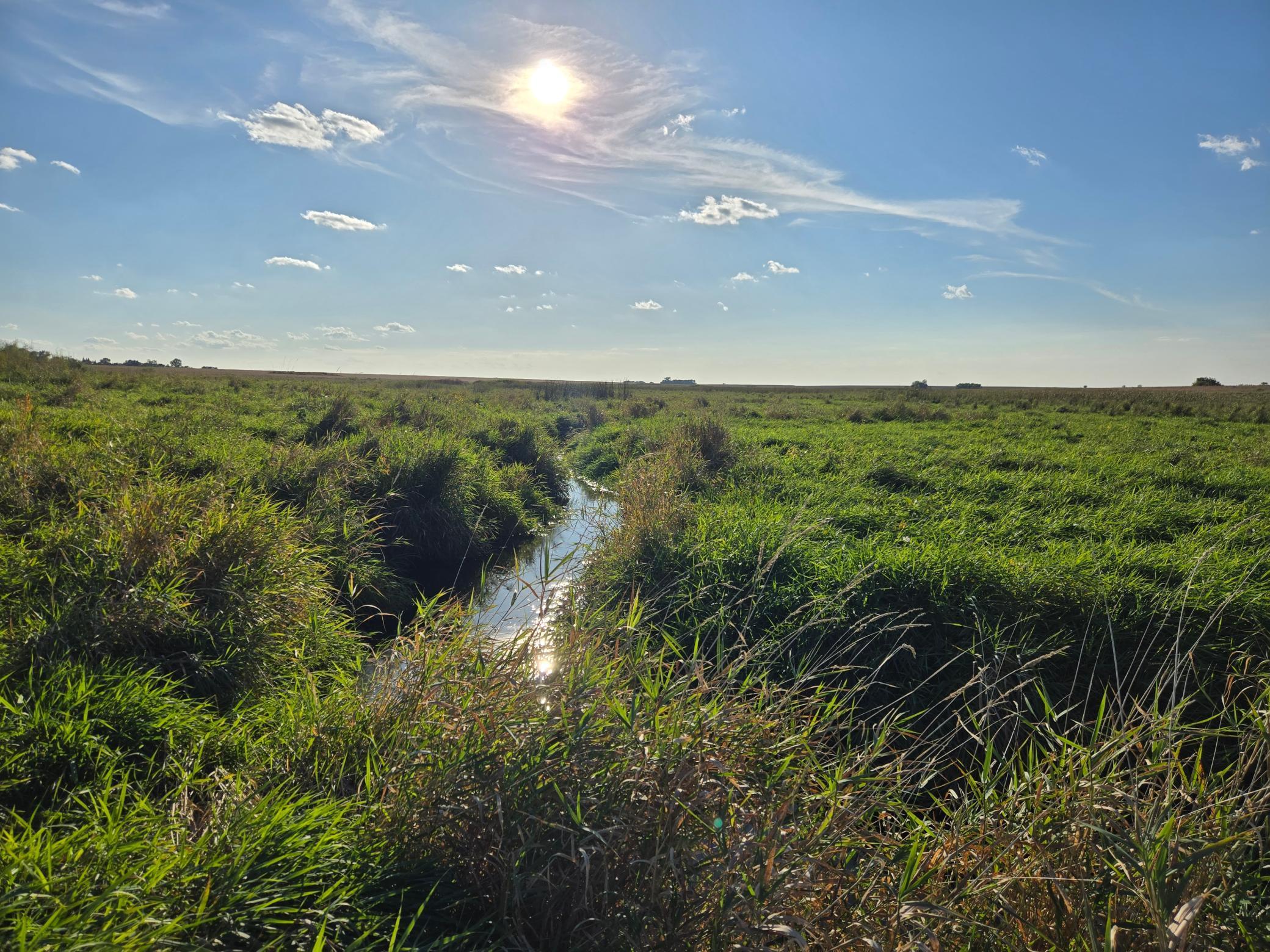 main property photo 66