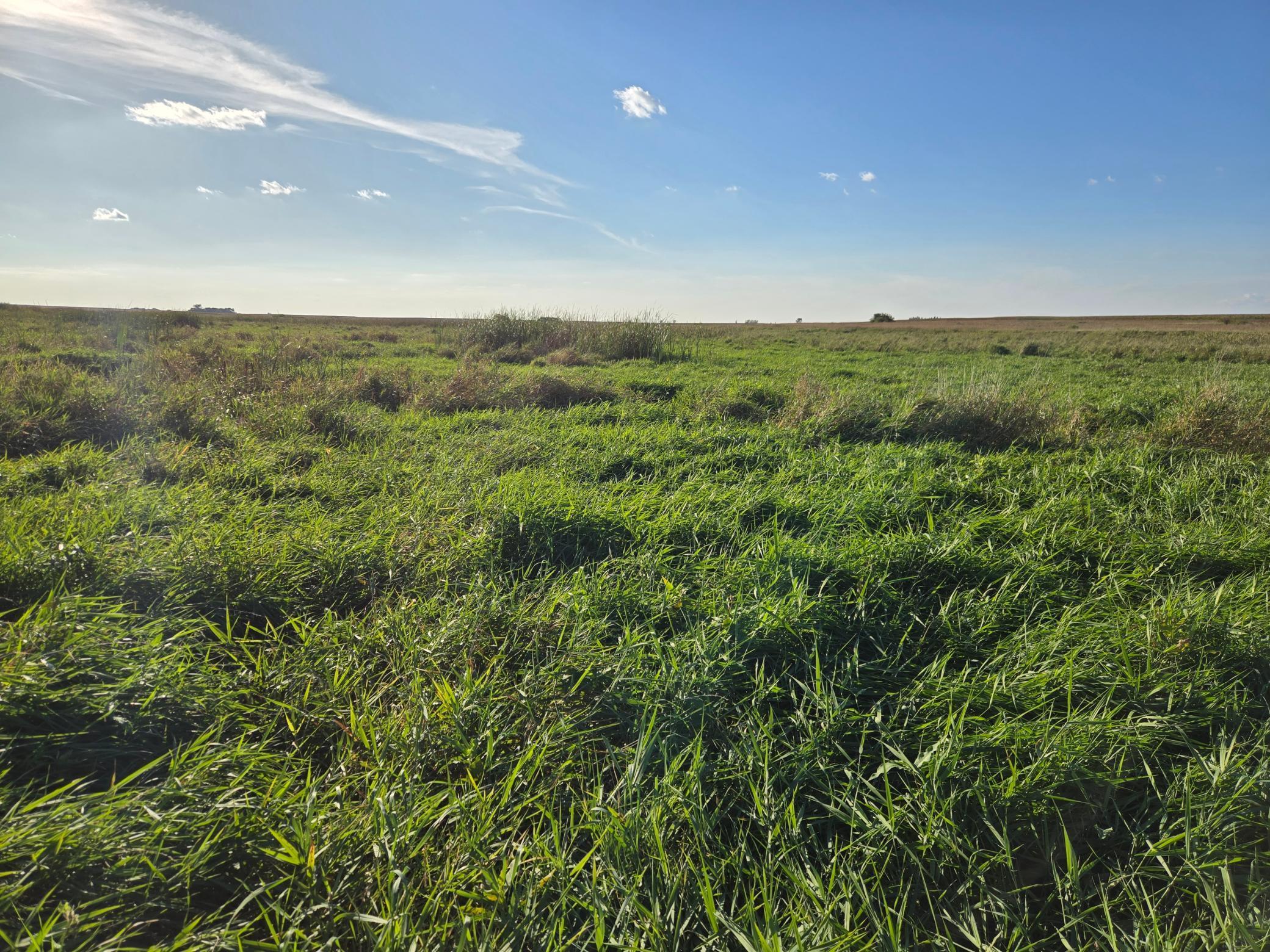 main property photo 68