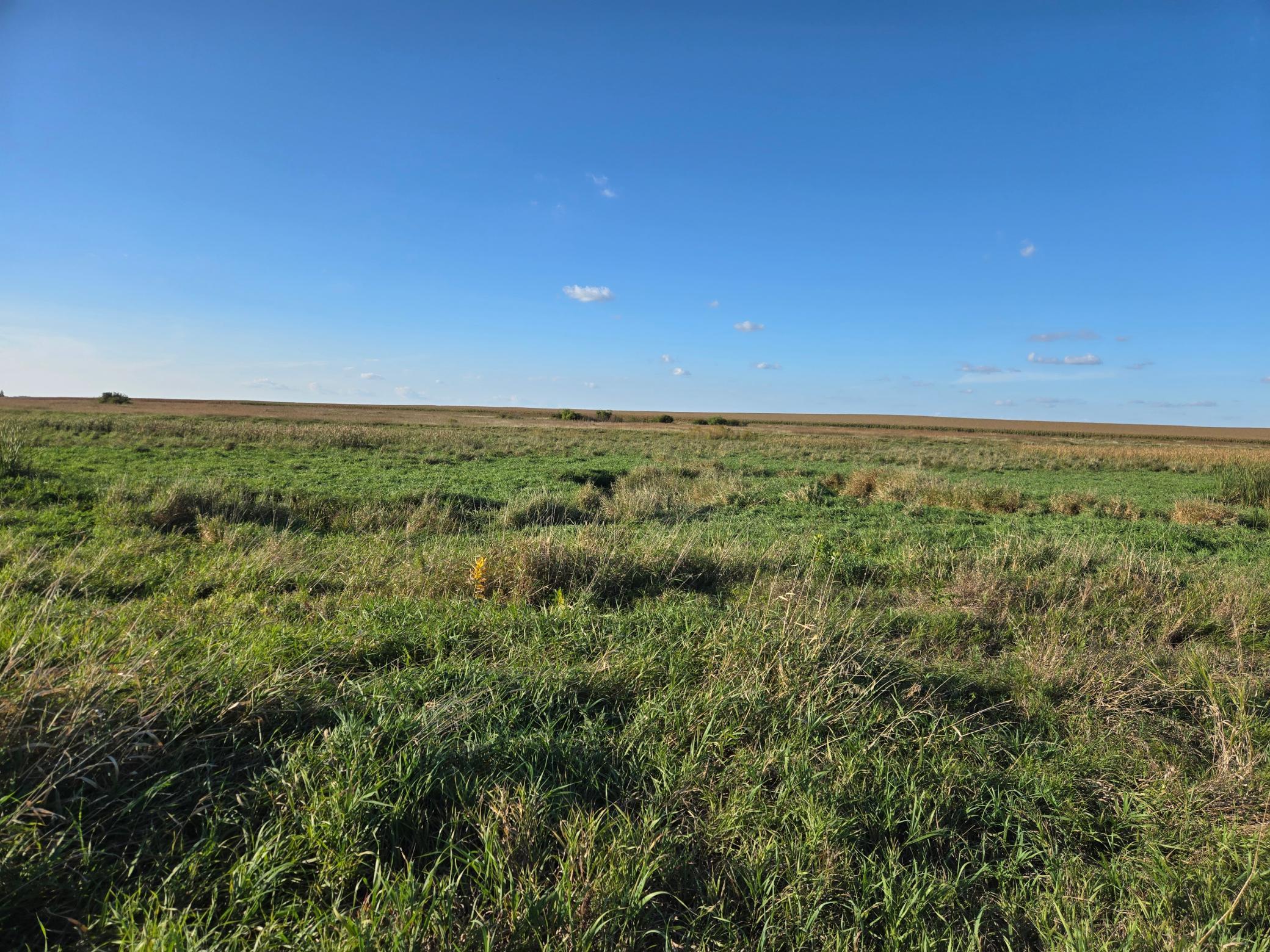 main property photo 69