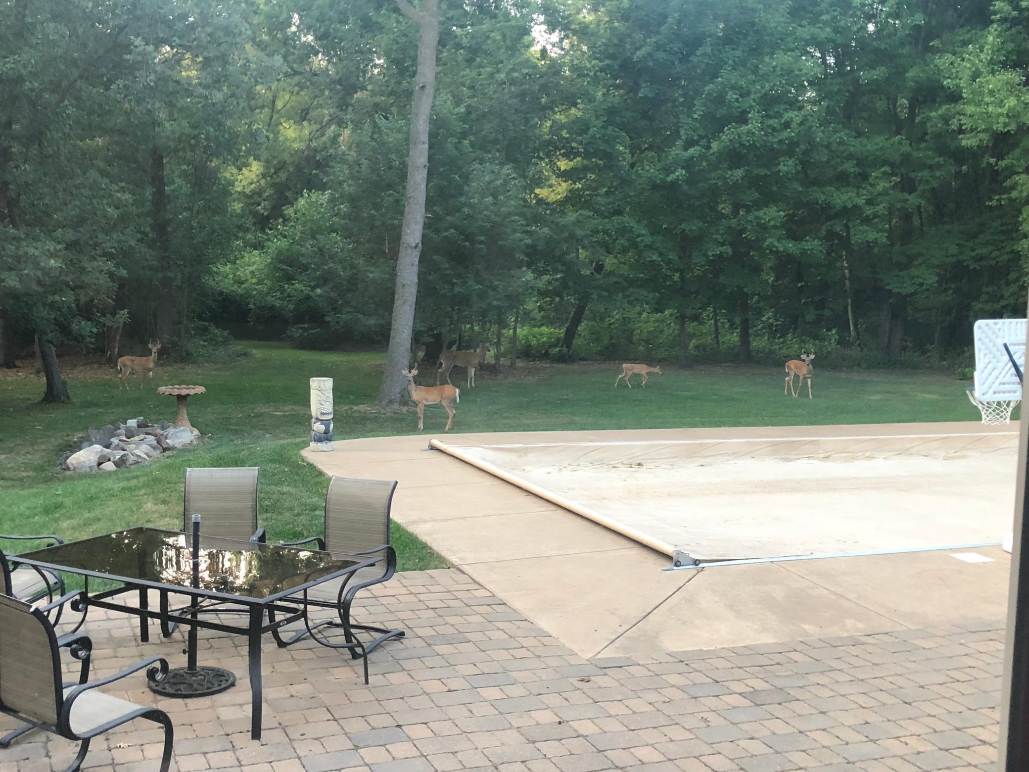 main property photo 56