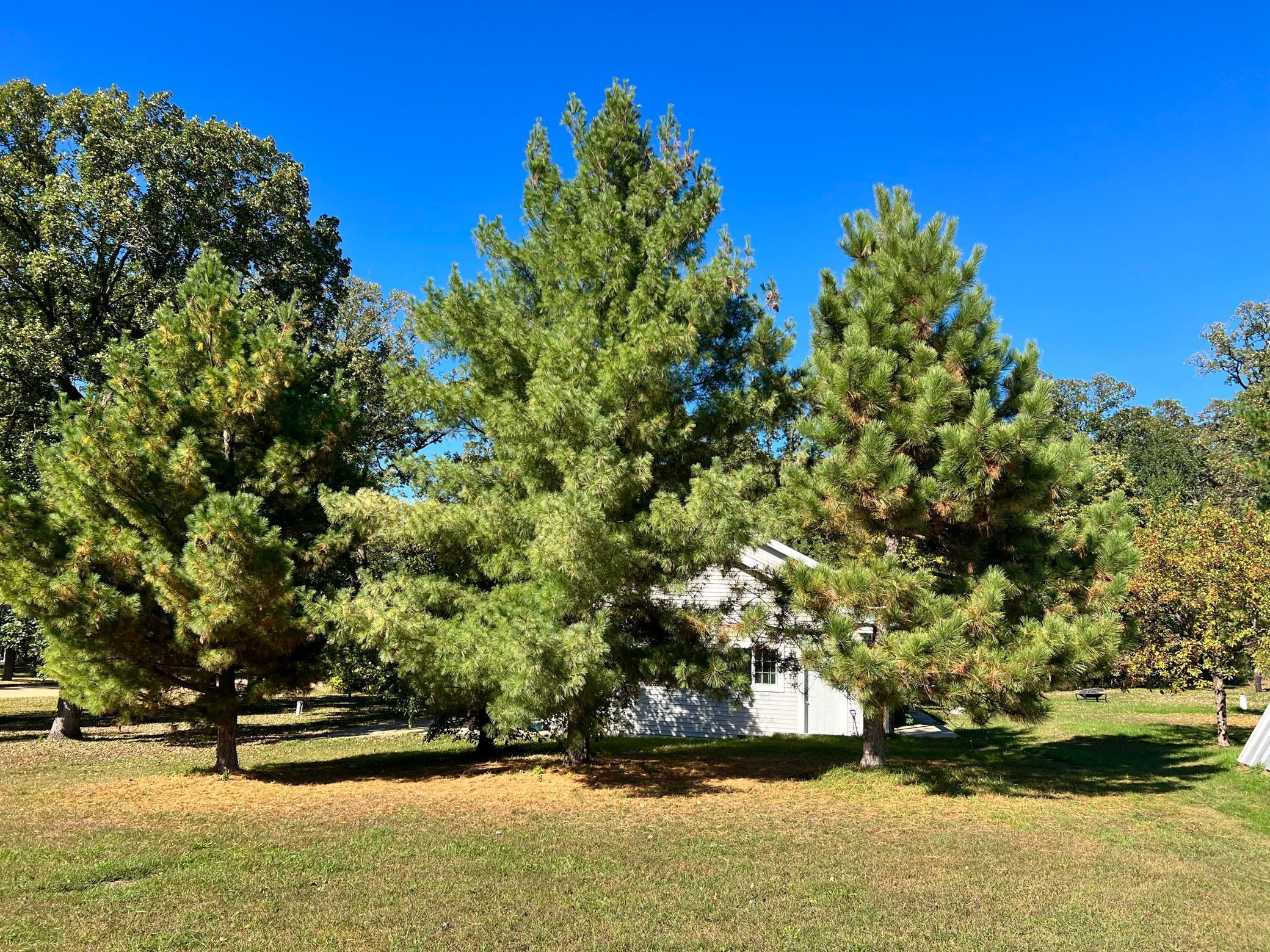main property photo 54