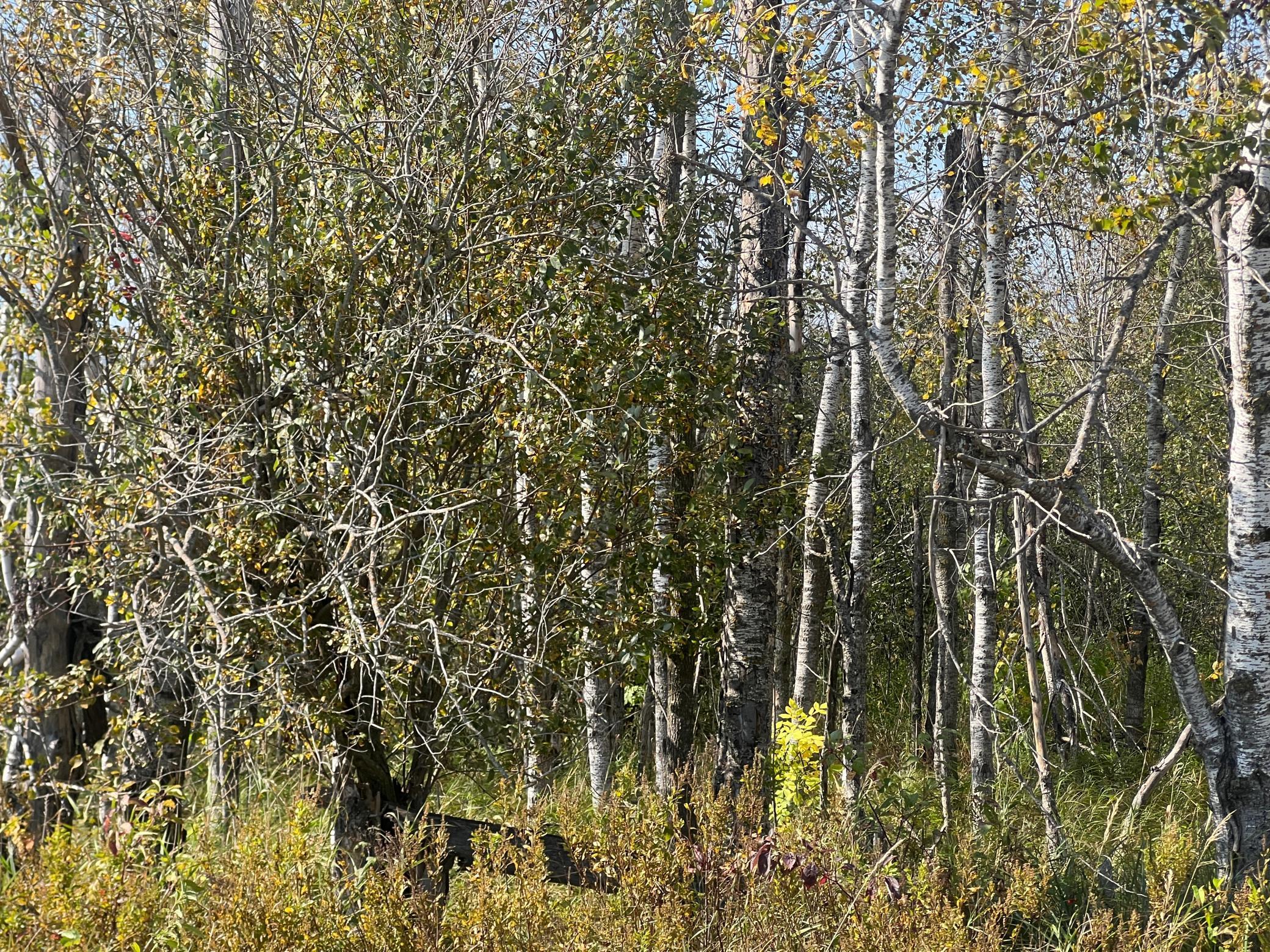 main property photo 21