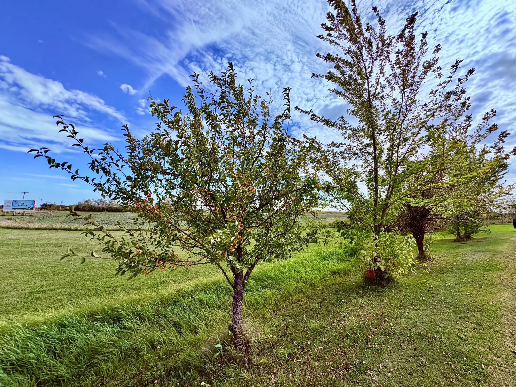main property photo 10
