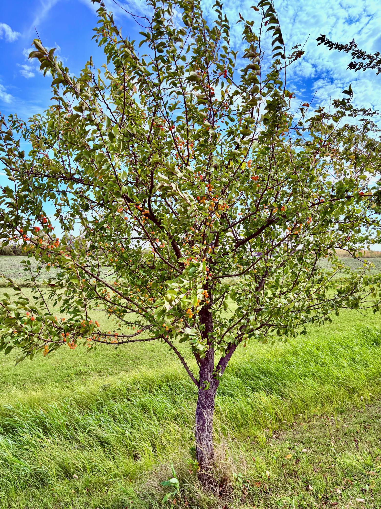 main property photo 9