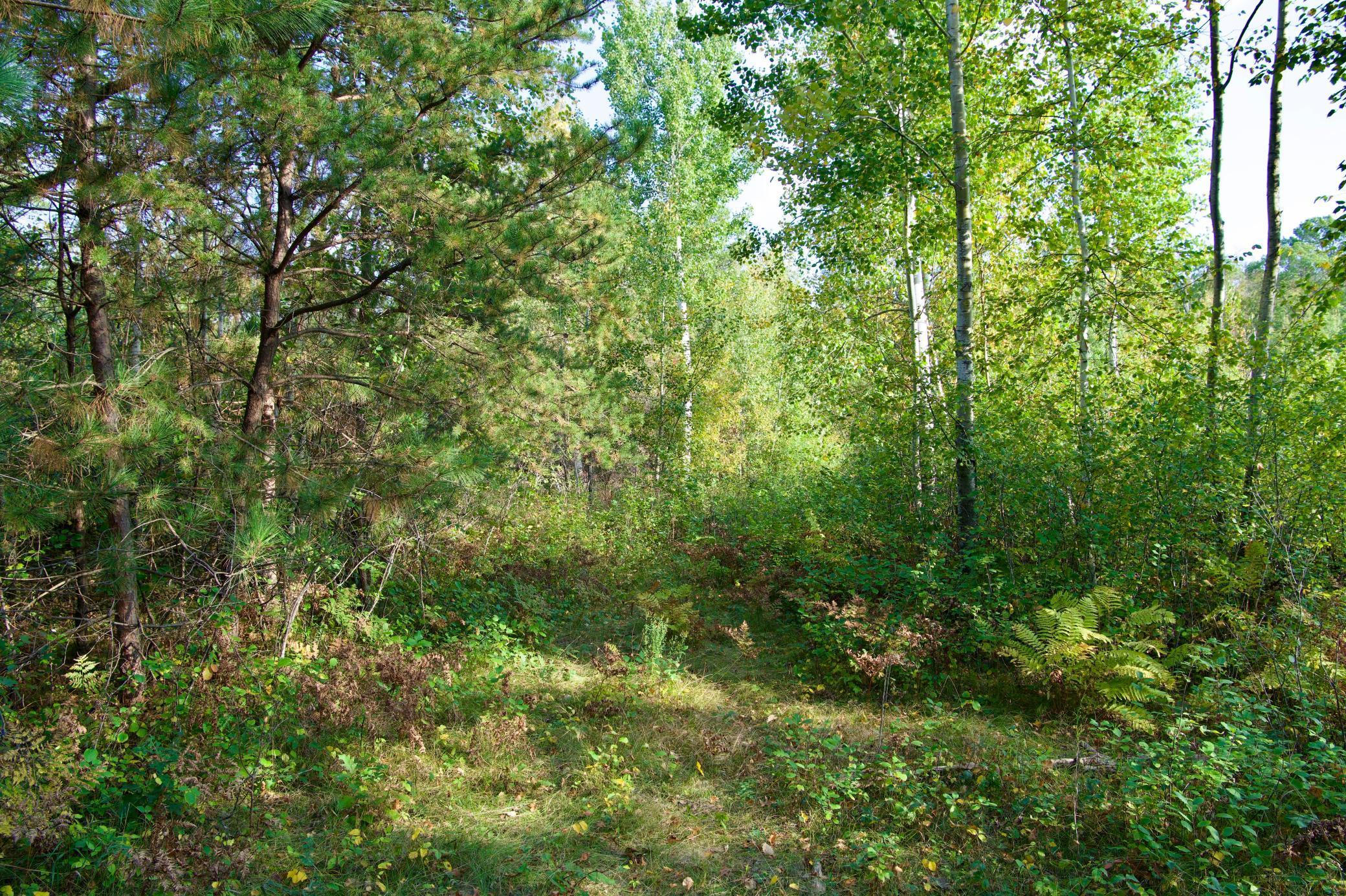 main property photo 10