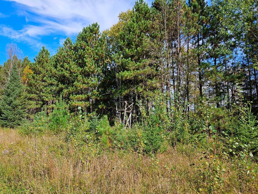 main property photo 16