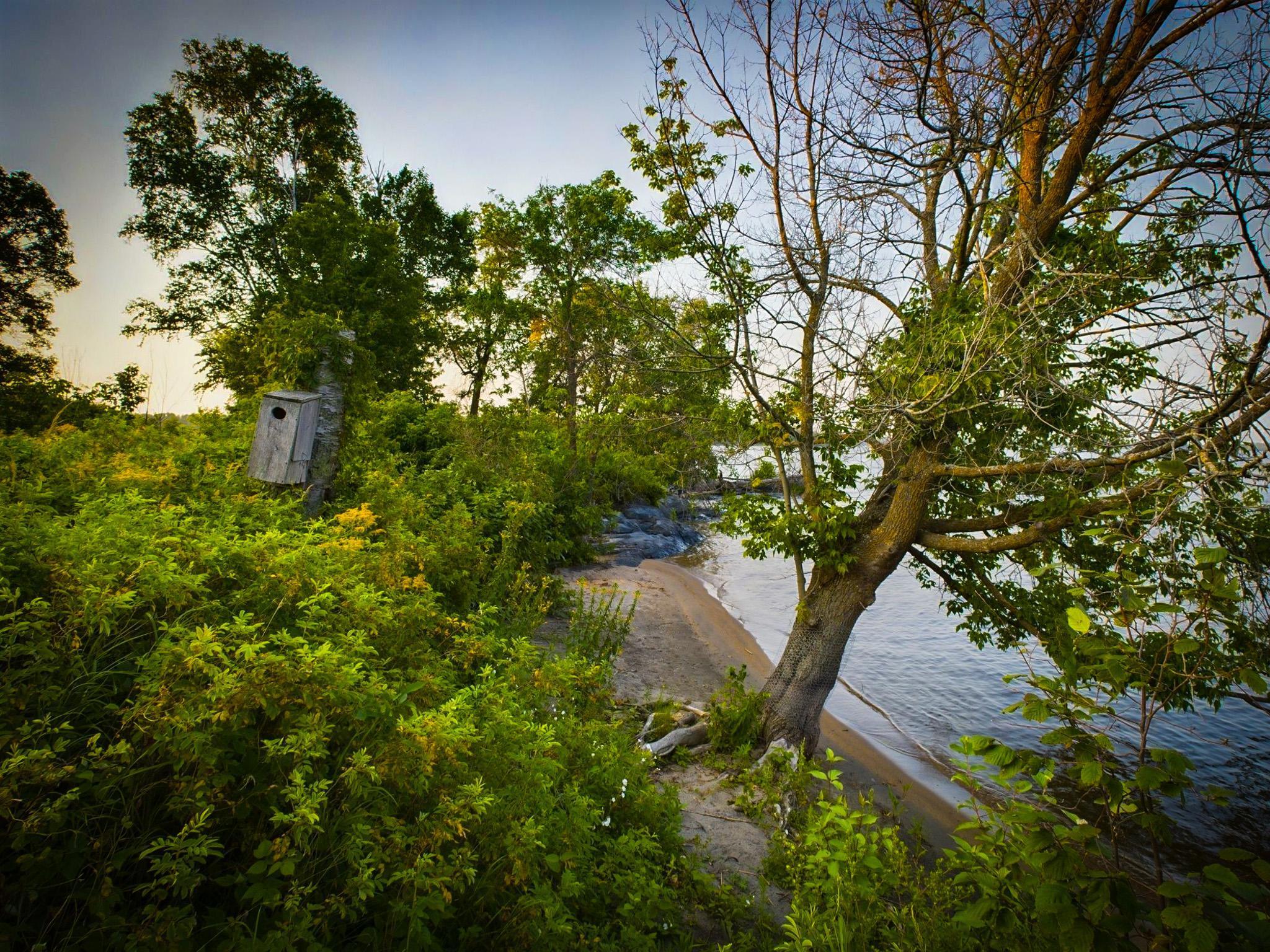 main property photo 30