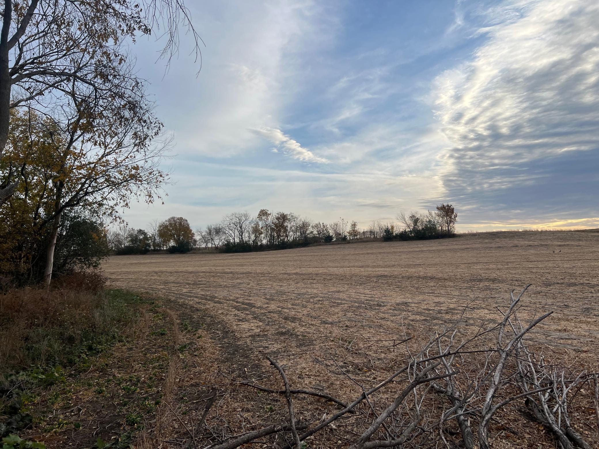 main property photo 8