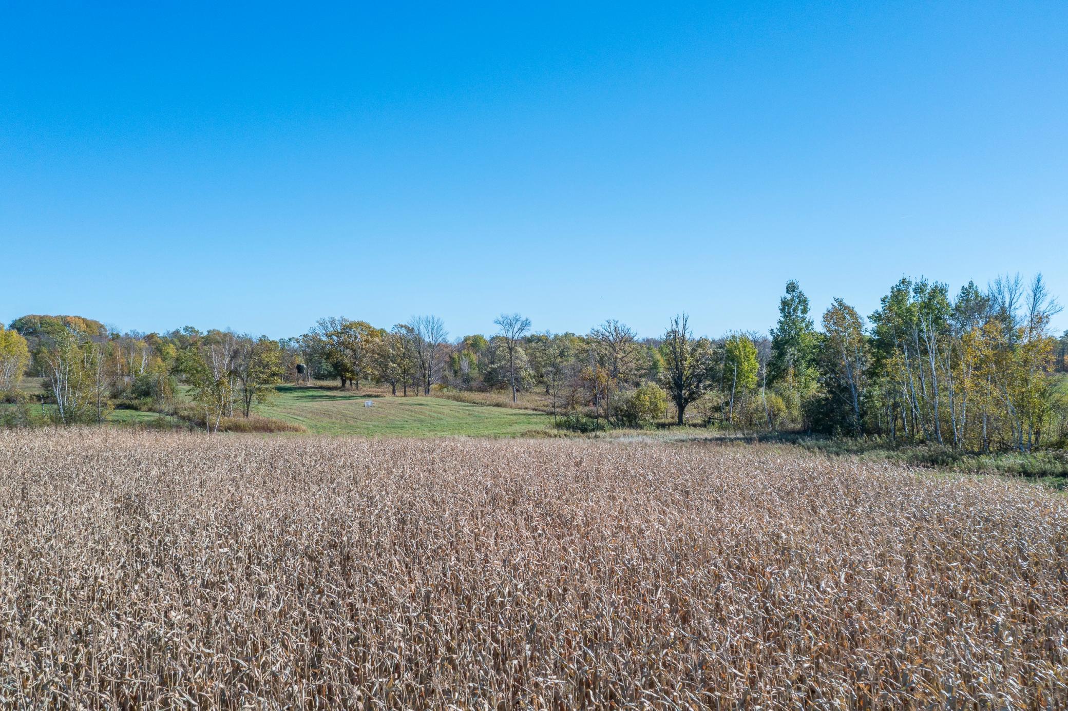 main property photo 102