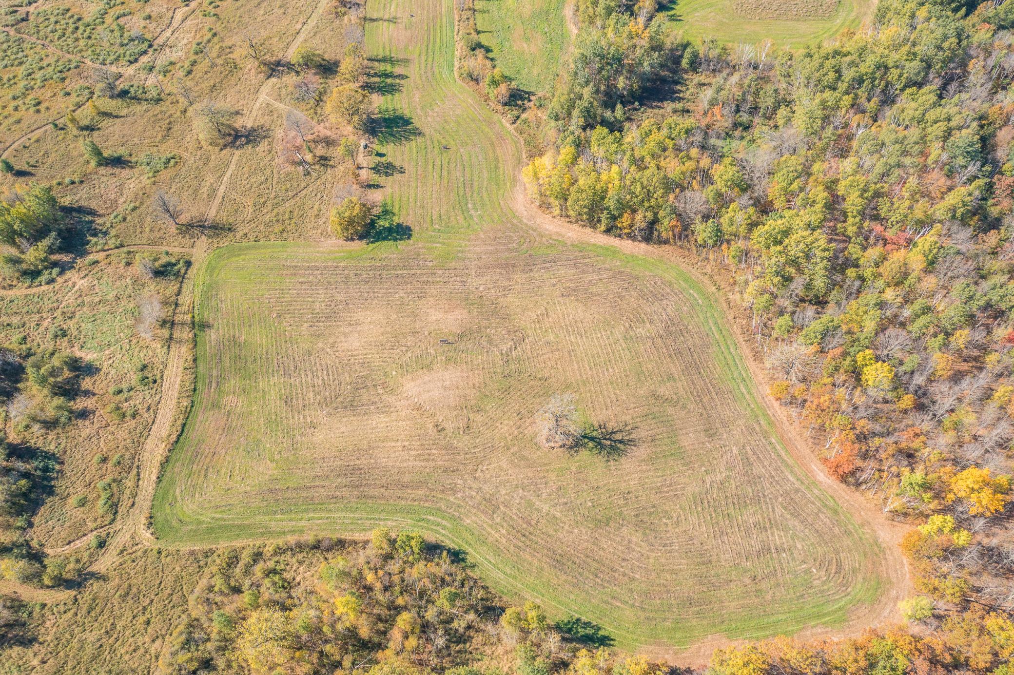 main property photo 67