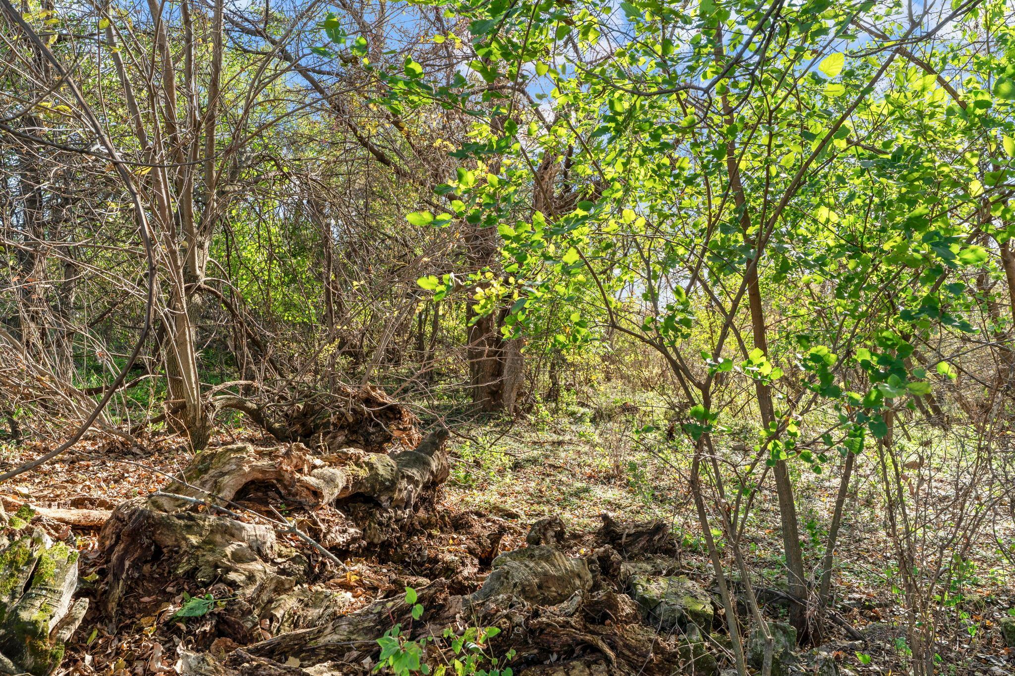 main property photo 21