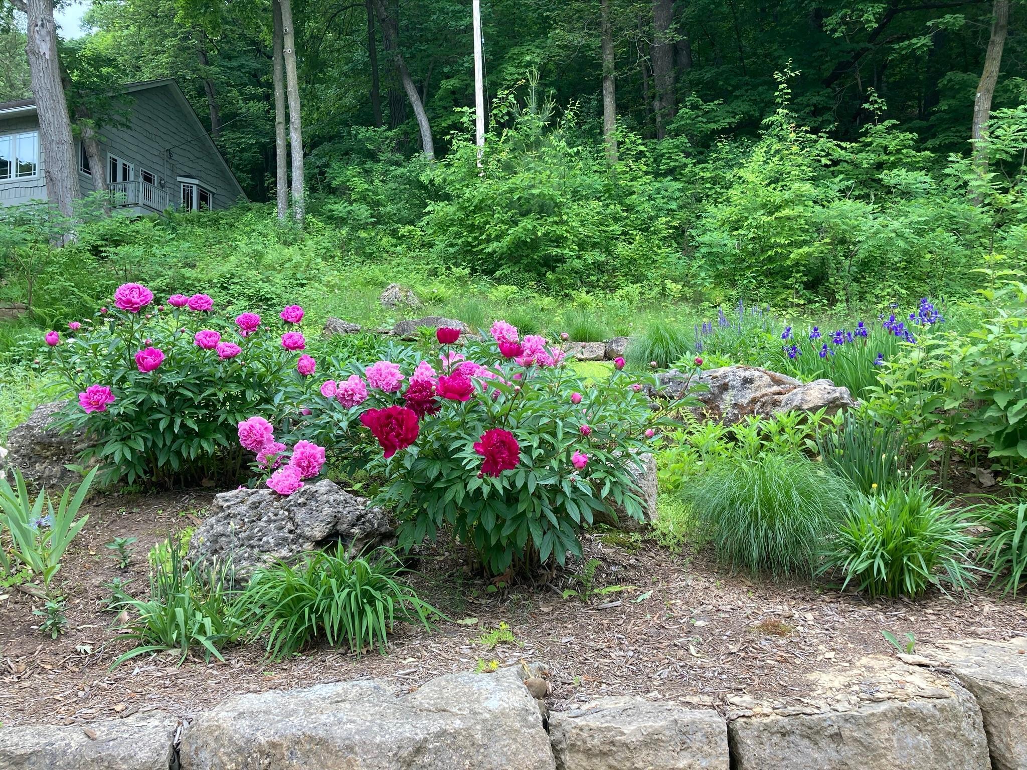 main property photo 66