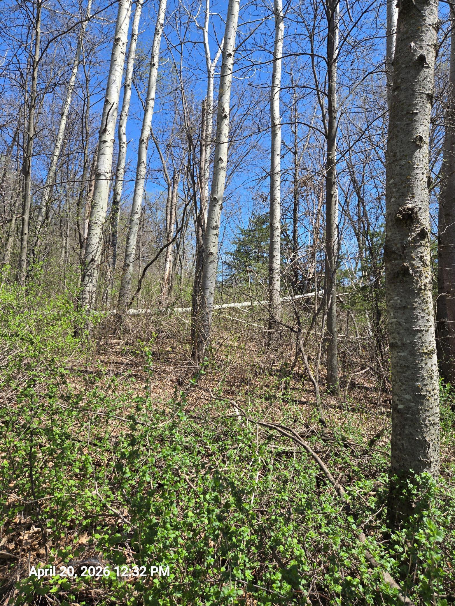main property photo 7