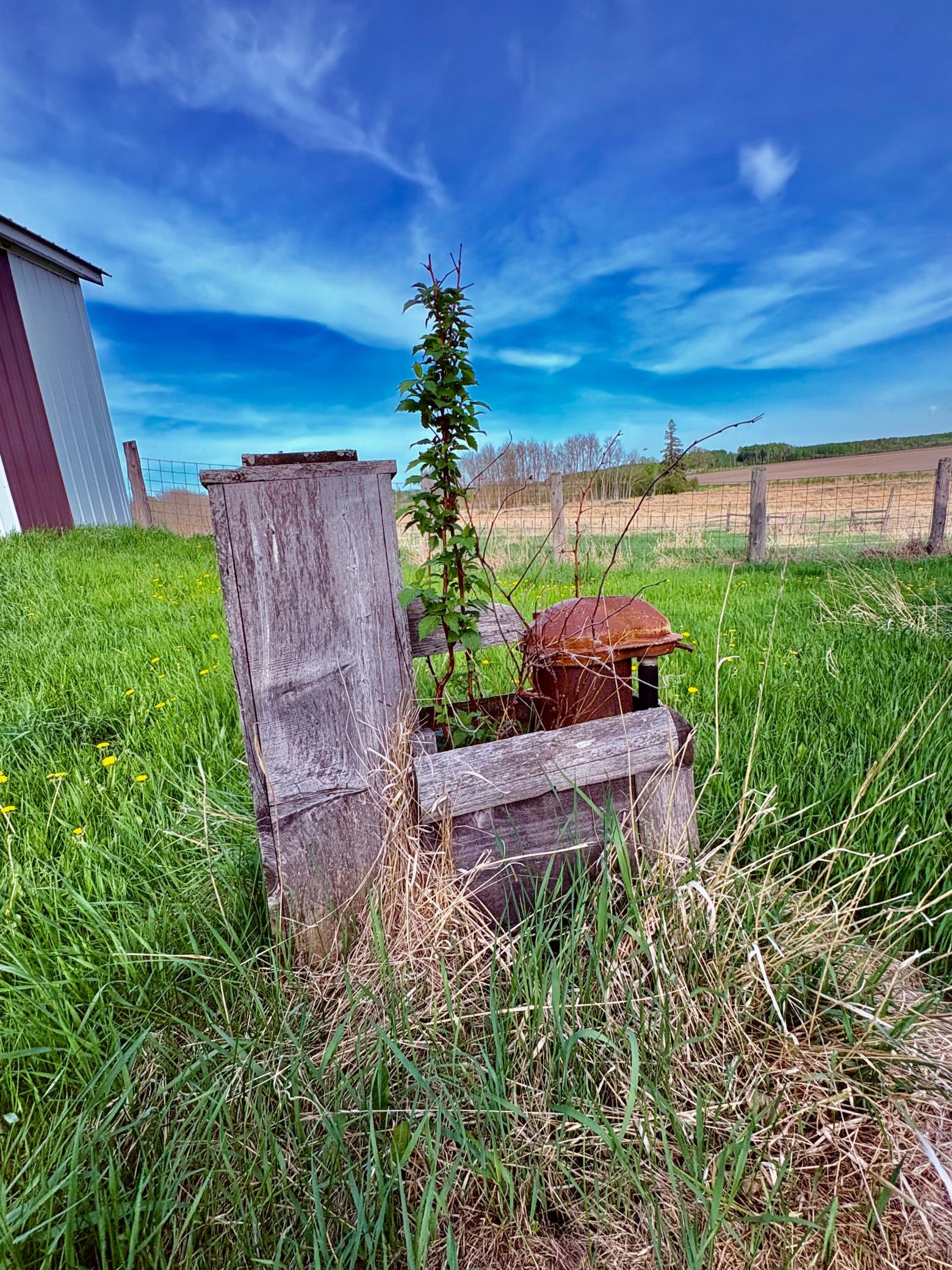 main property photo 50