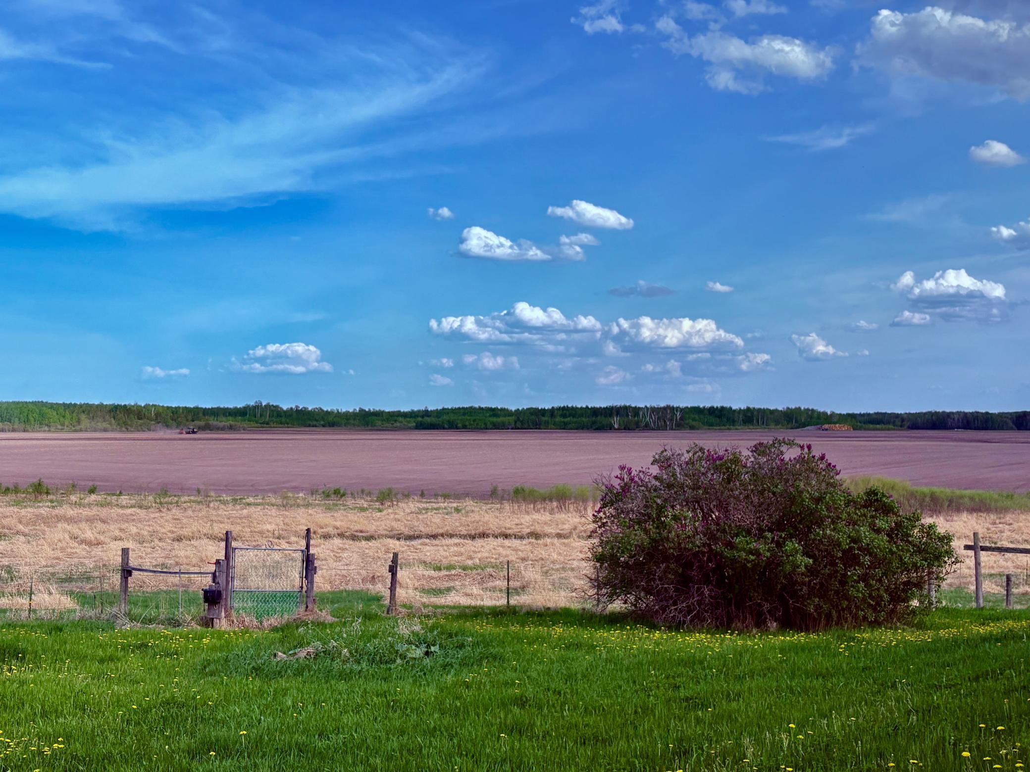 main property photo 61
