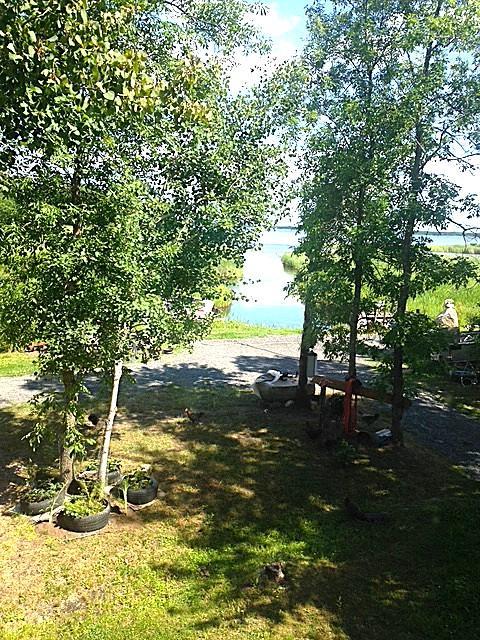 main property photo 27