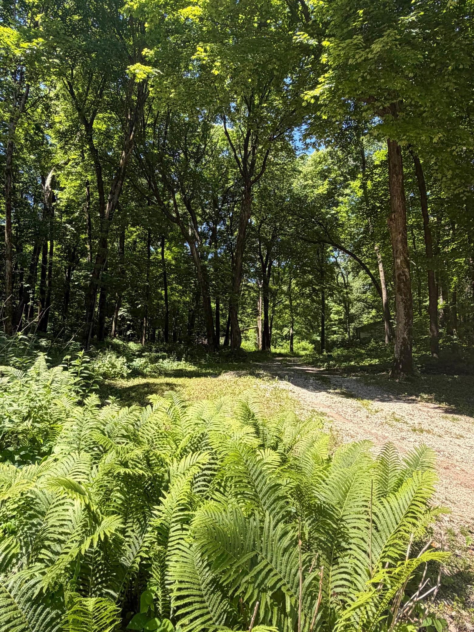 main property photo 25