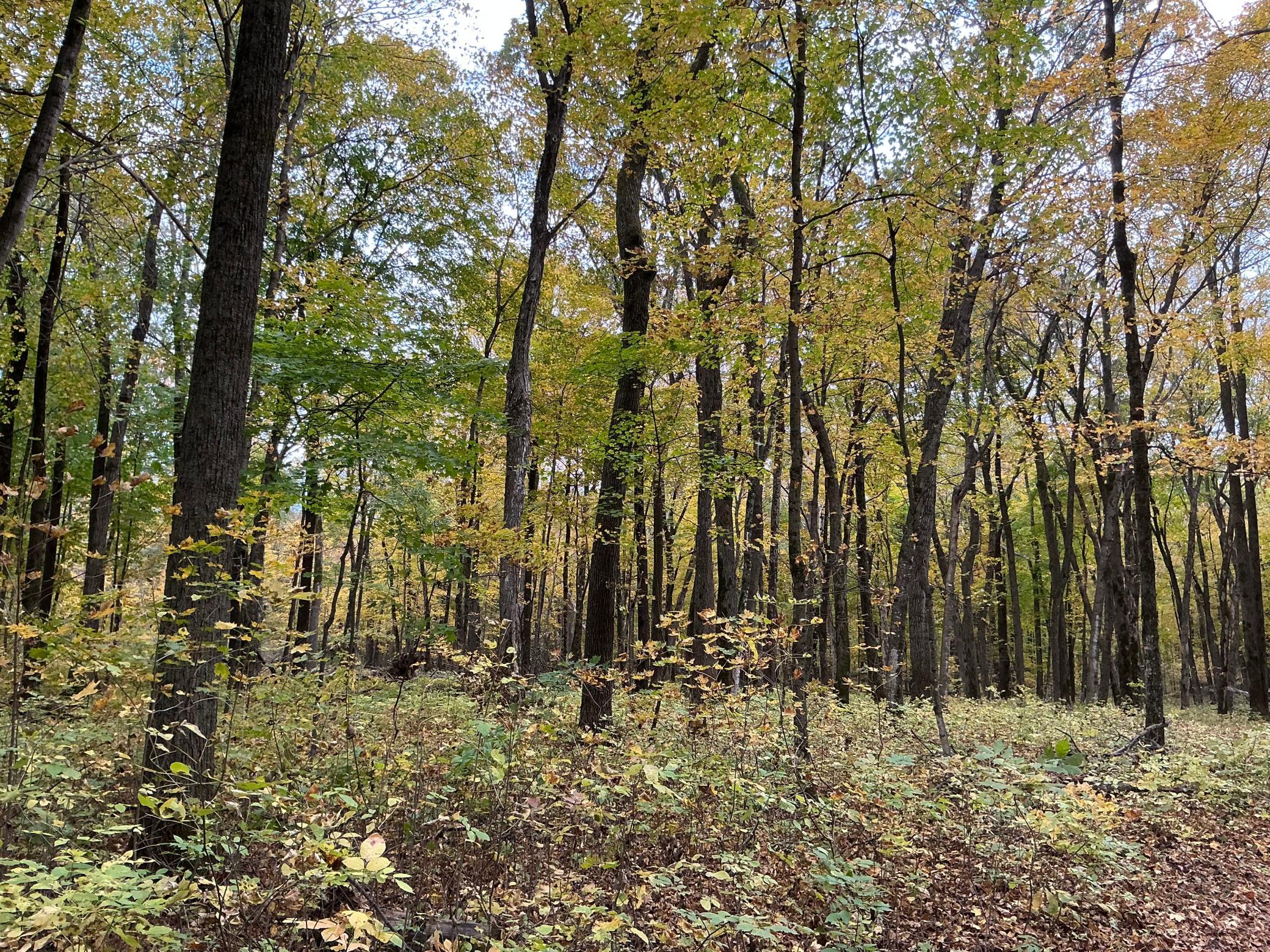 main property photo 29