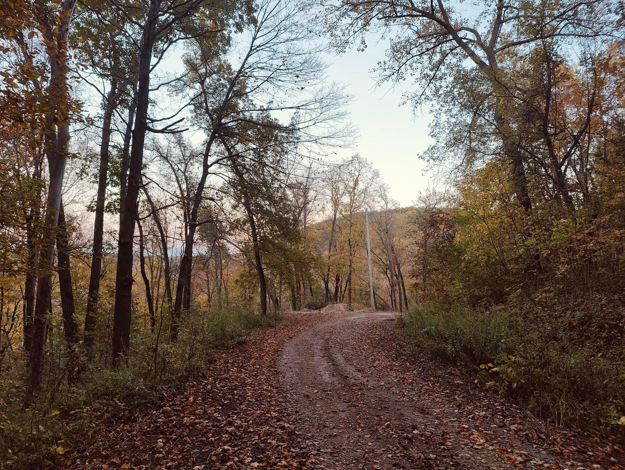 main property photo 30