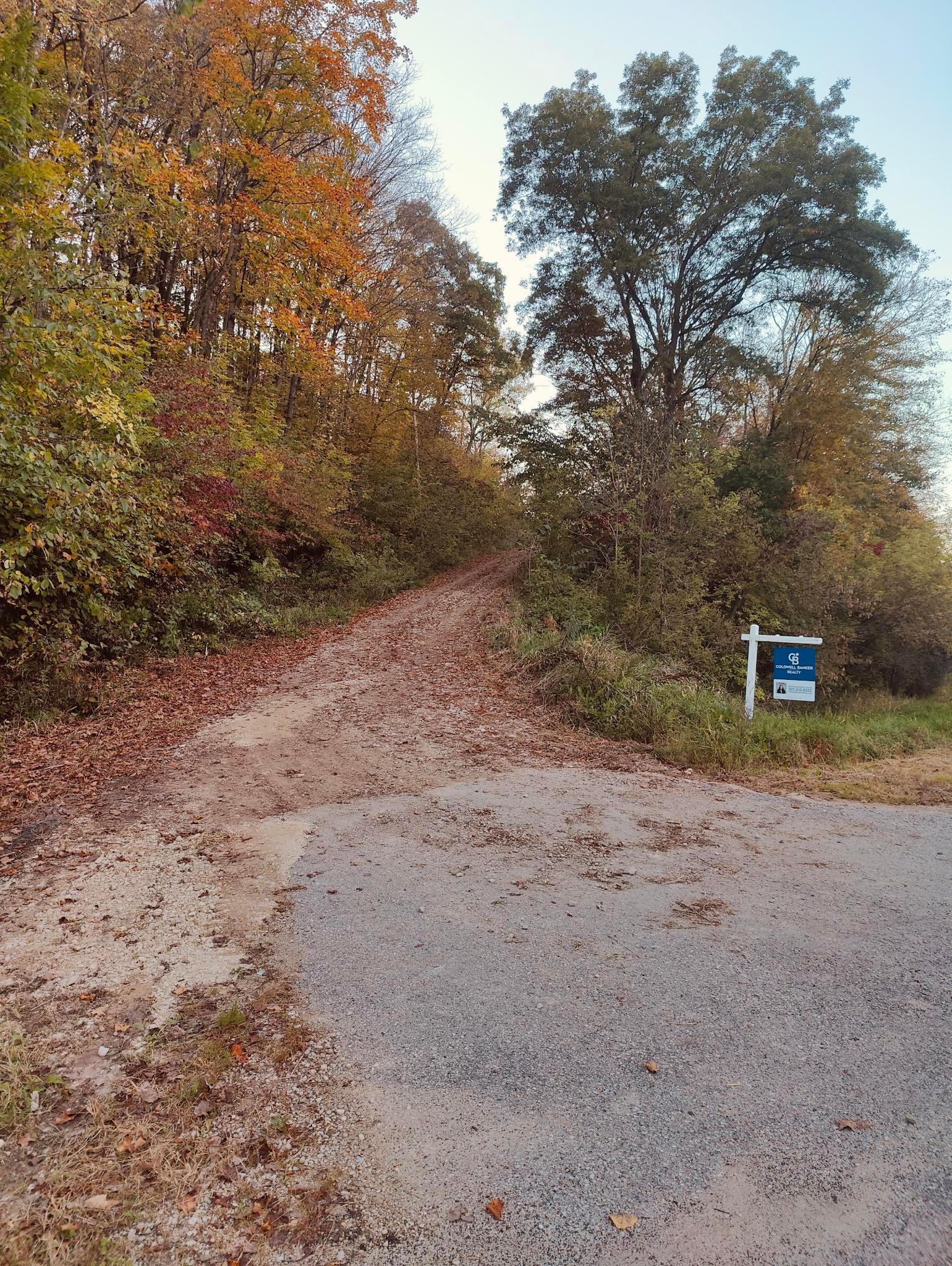 main property photo 33