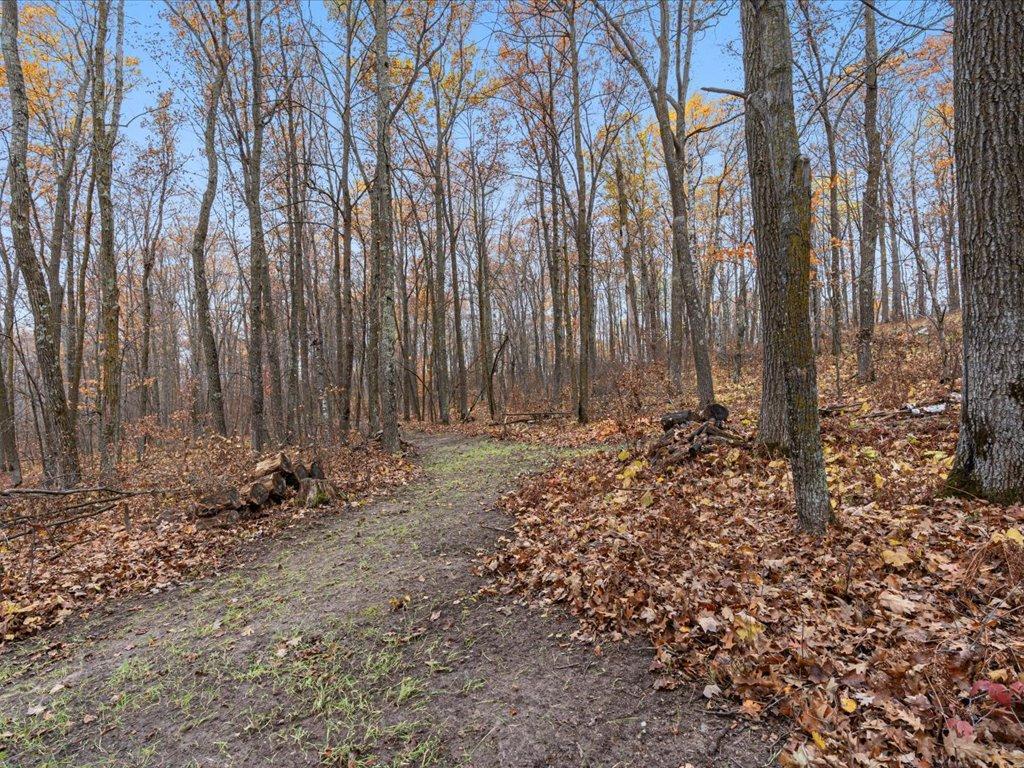 main property photo 45