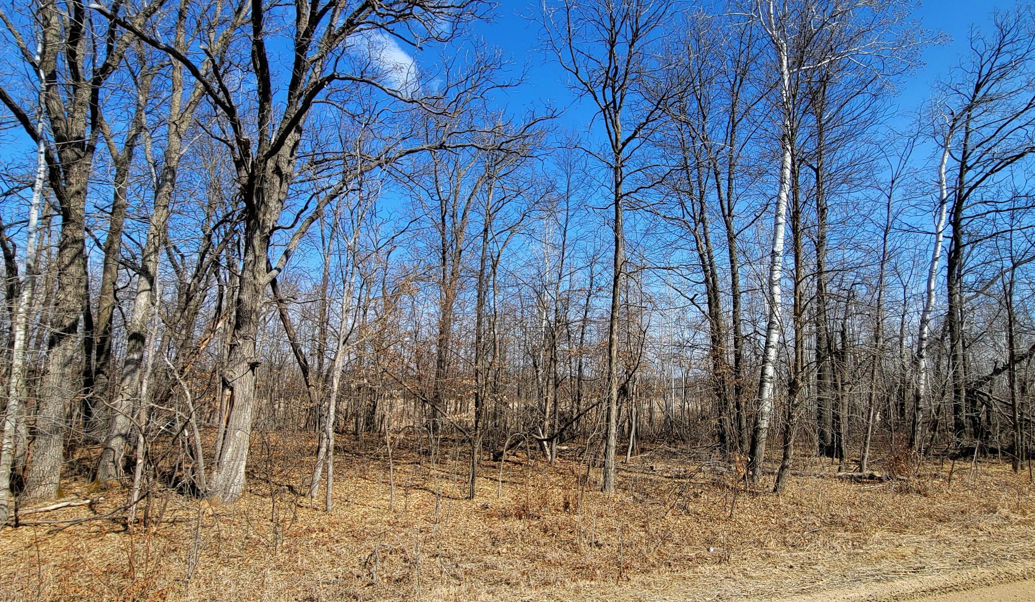 main property photo 8