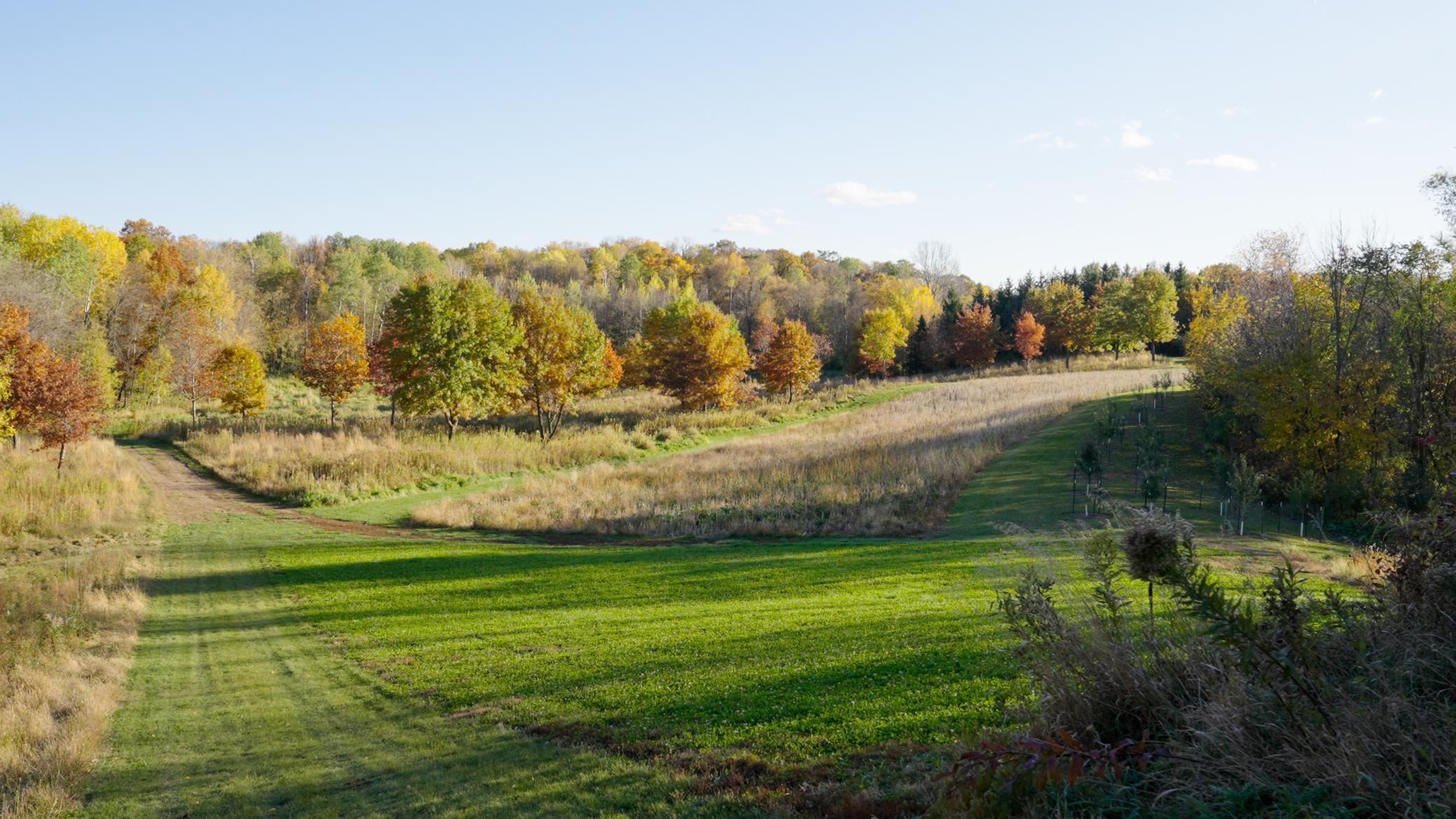 main property photo 118
