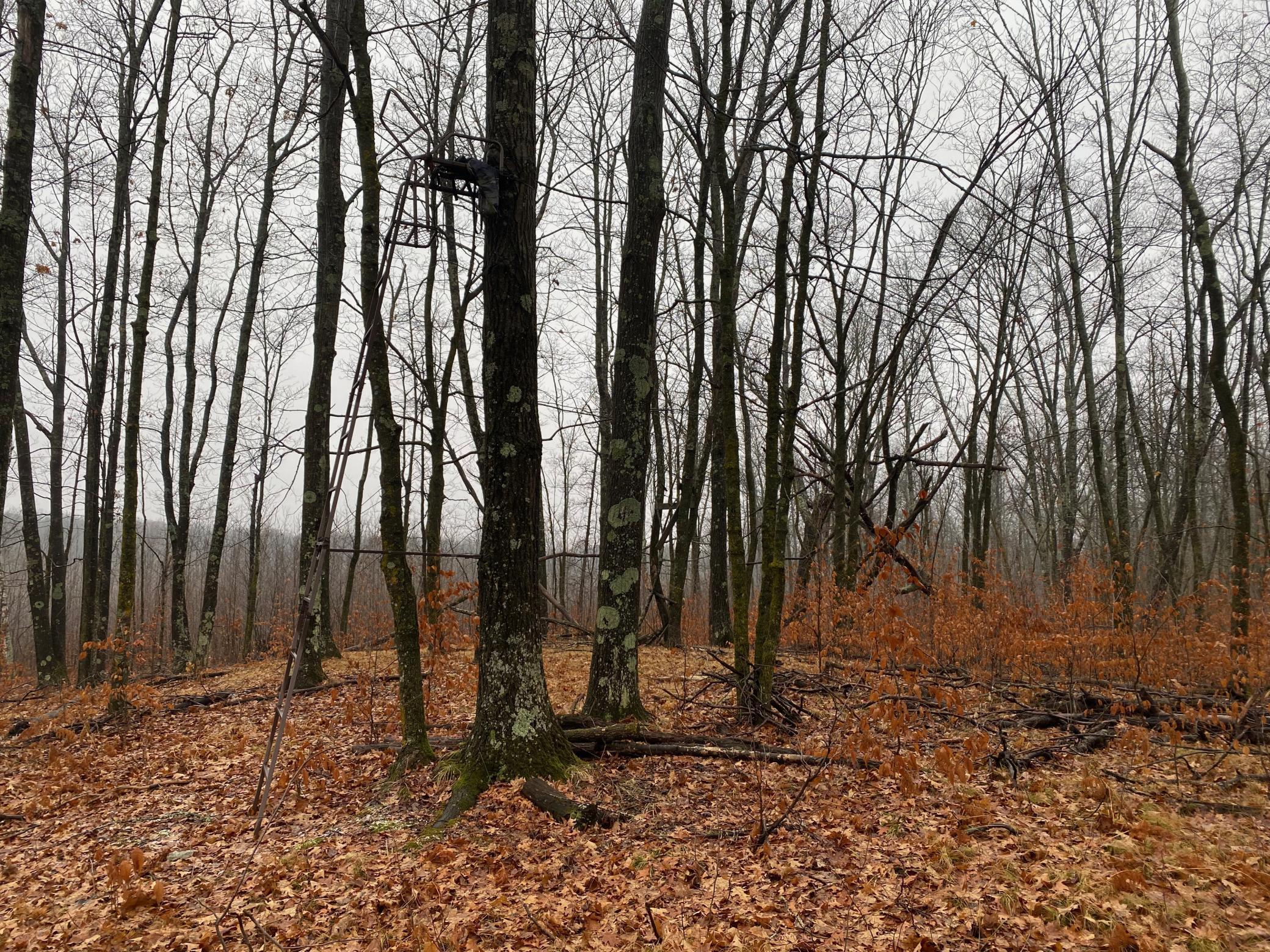 main property photo 26