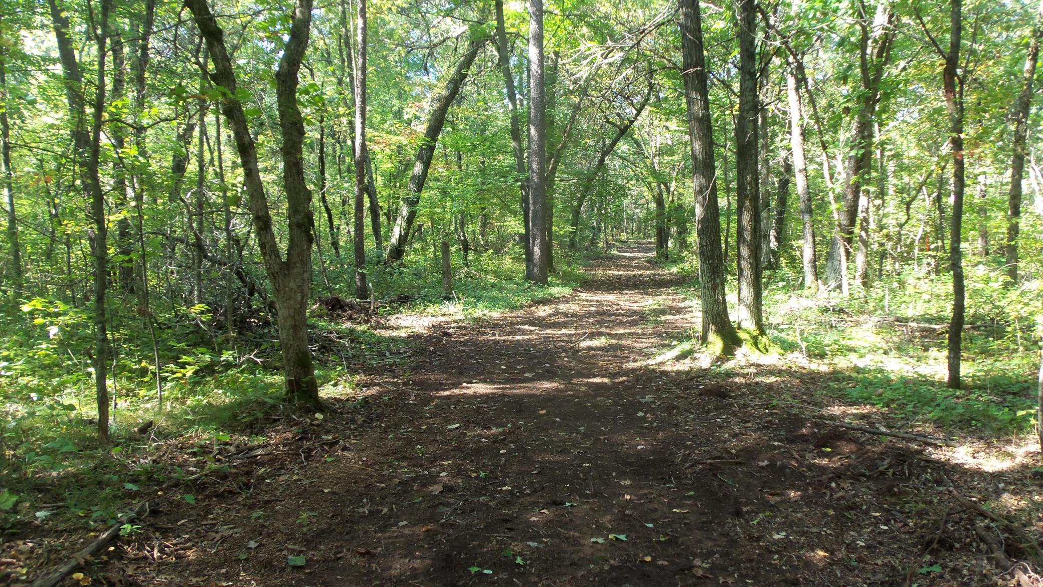main property photo 8