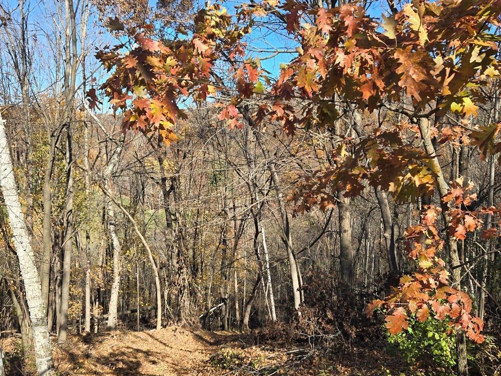 main property photo 17