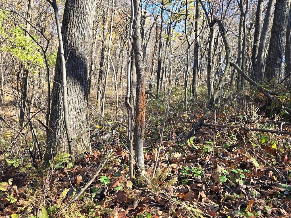 main property photo 18